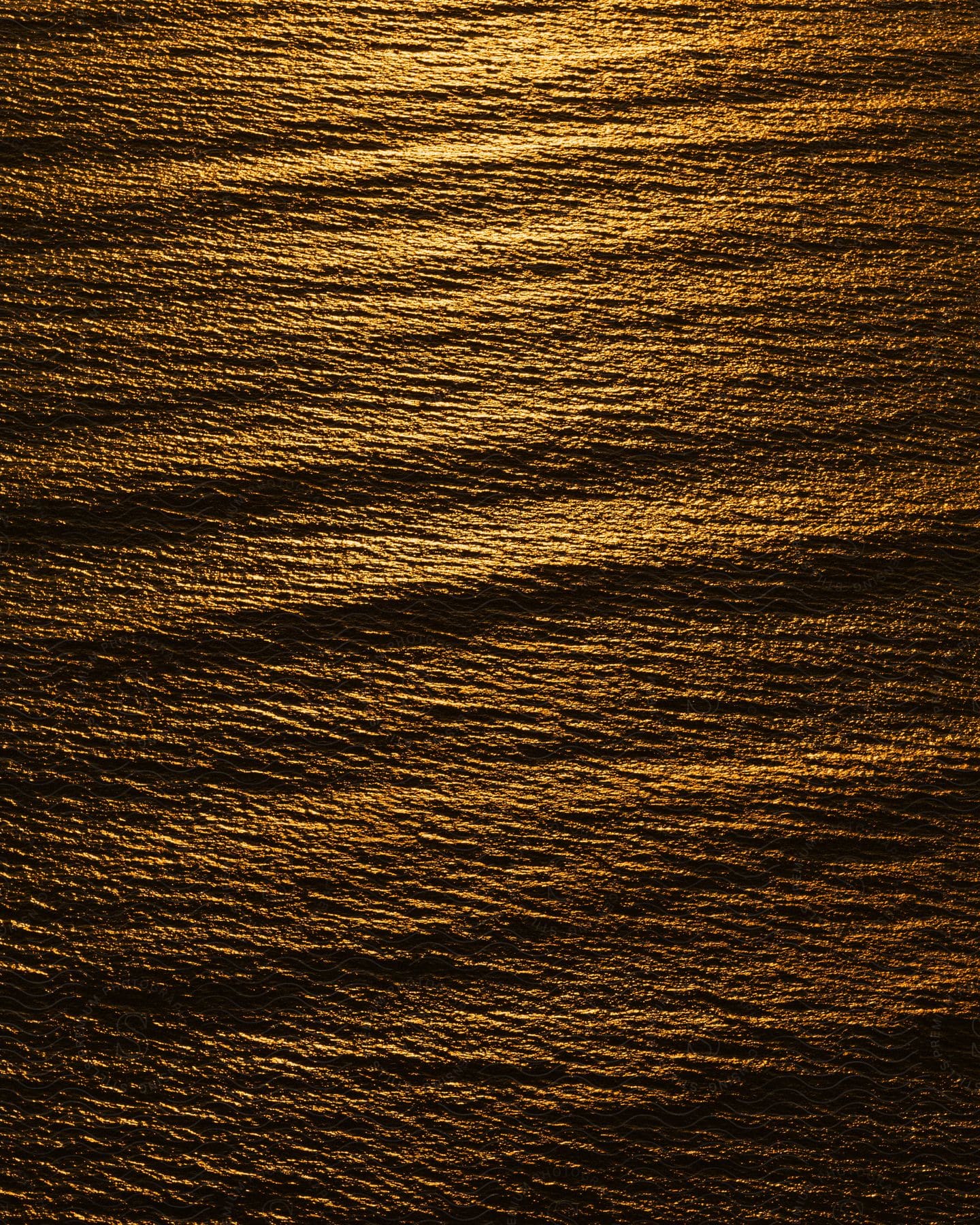 Golden sunlight reflecting off rippling water.