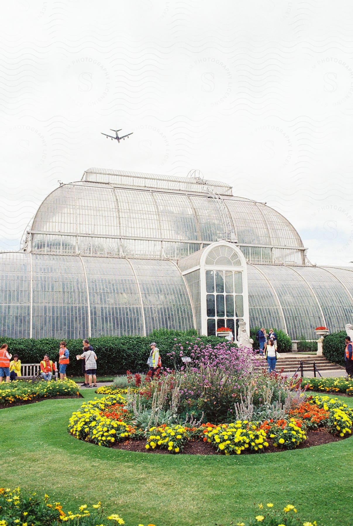 A view of a greenhouse in a garden outdoors