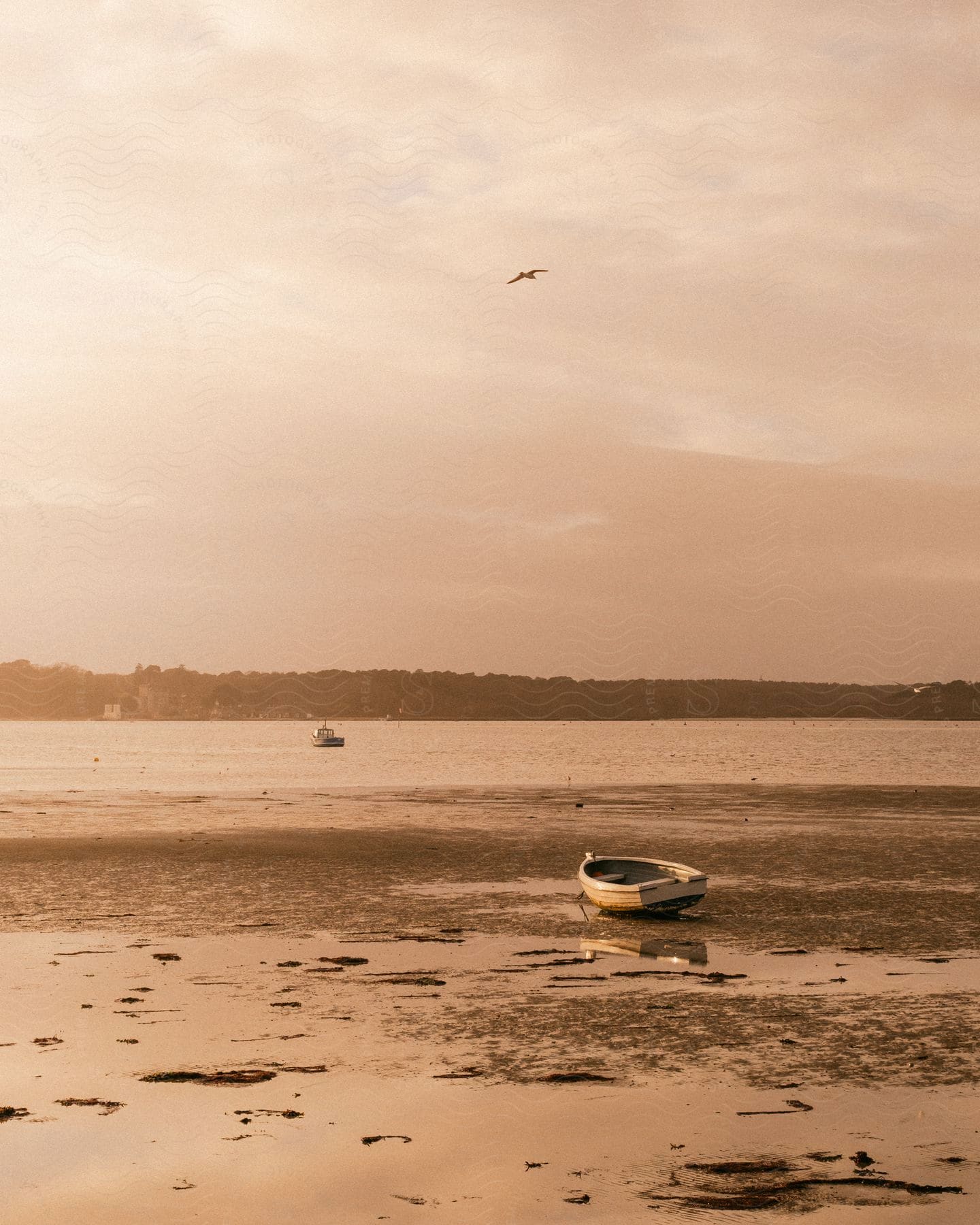 A boat on a river and an empty rowboat on the beach with a mountain island area across the water.