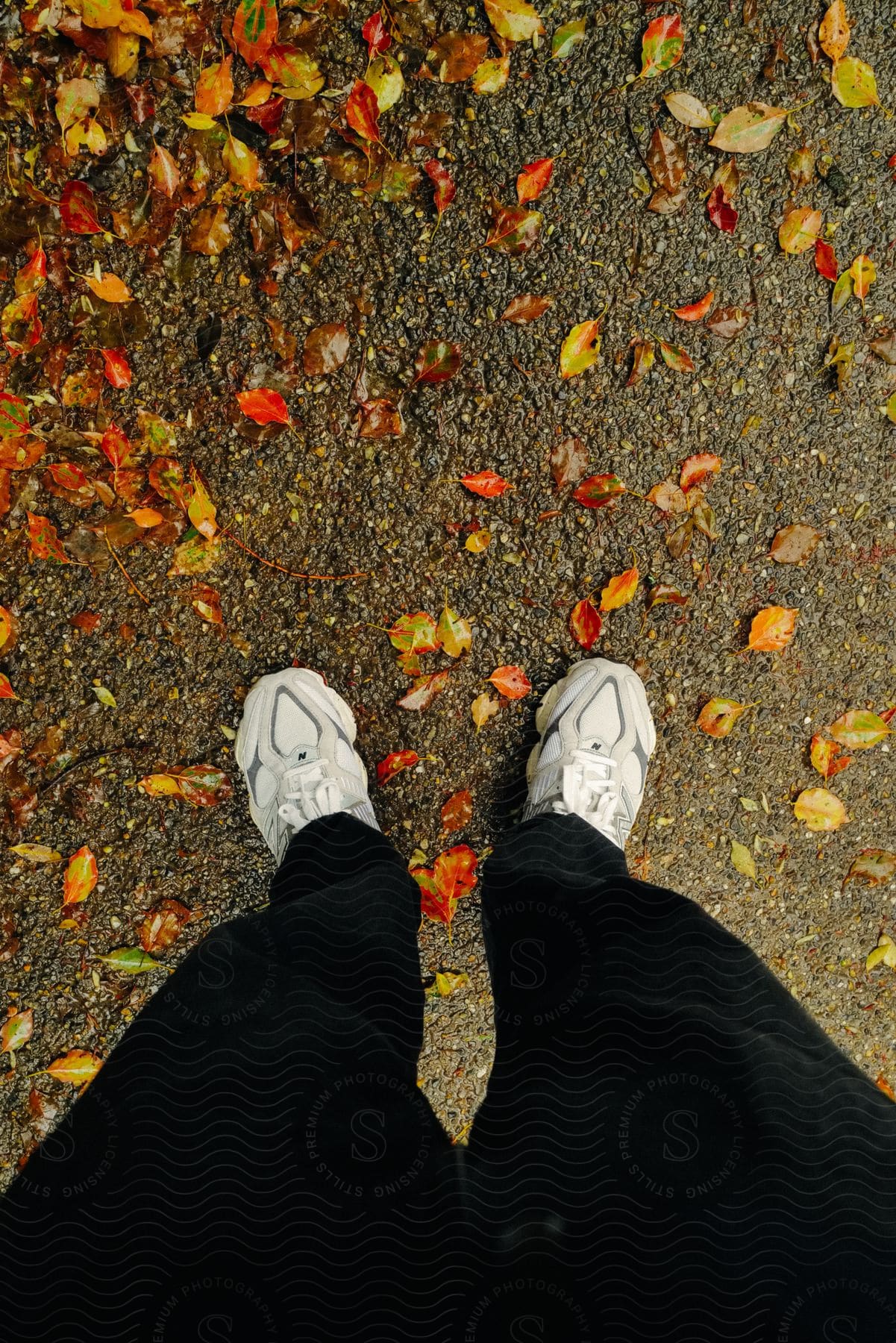 Person standing on a path covered in fallen leaves and wearing white sneakers.