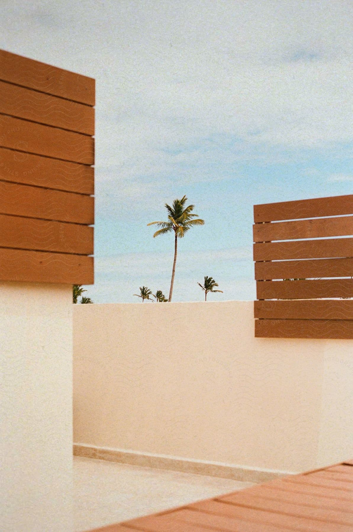 A view from a roof of a house of some trees.