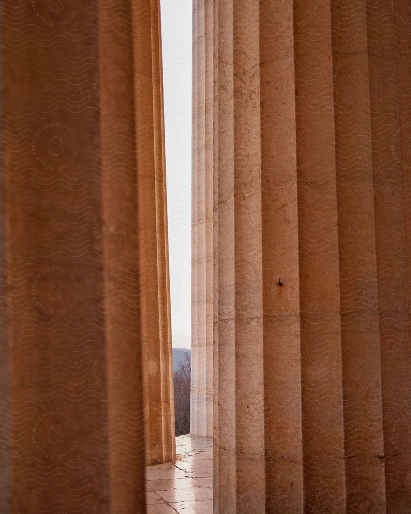 A view of some tall columns on a building.