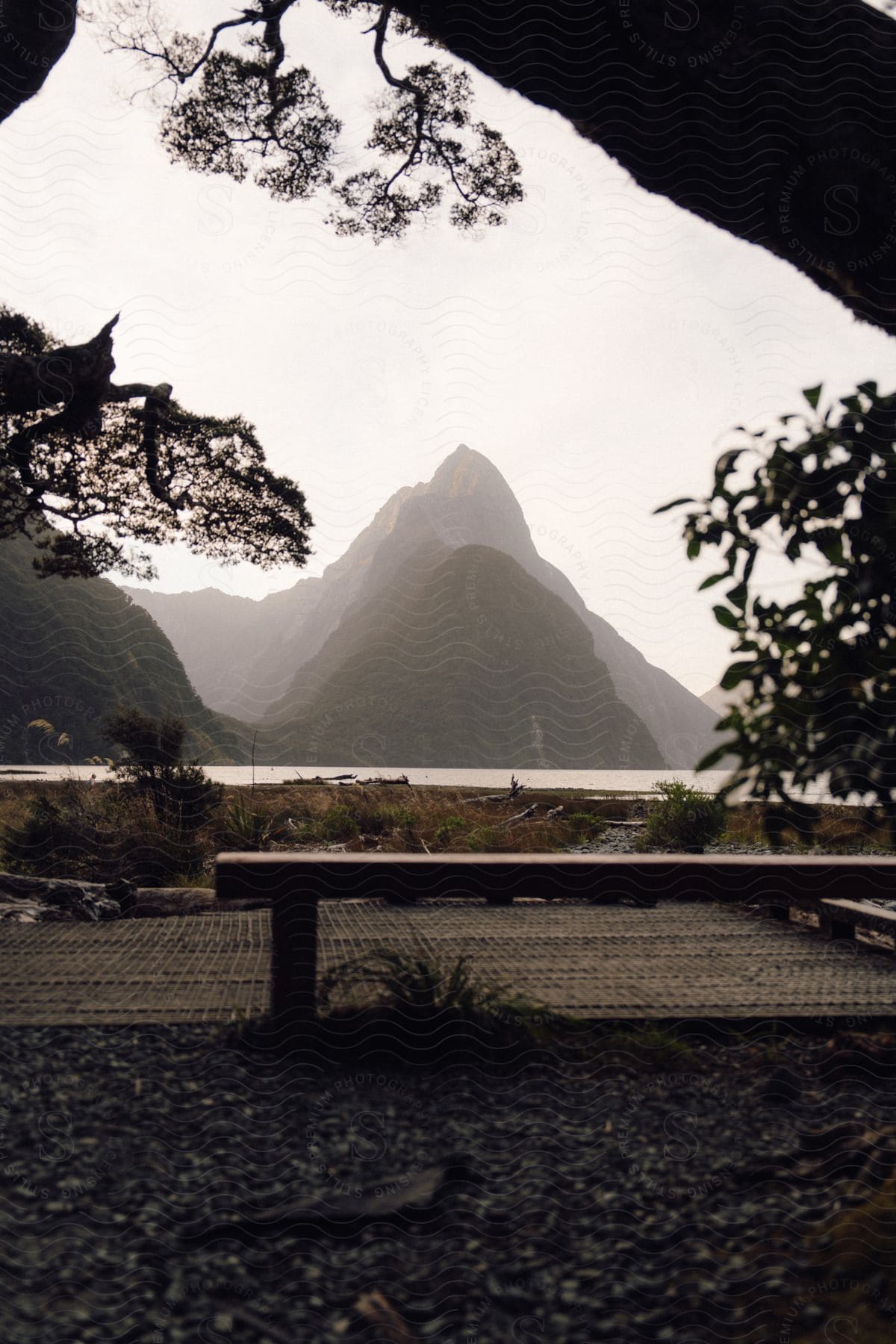 A serene view of a mountain peak framed by tree branches, with a bench in the foreground.