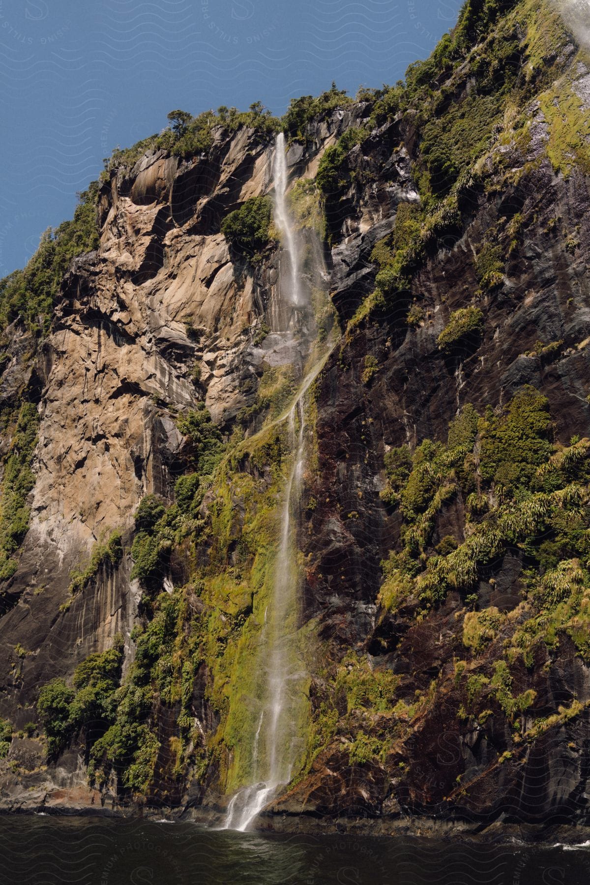 Landscape of a waterfall on a wooded mountain