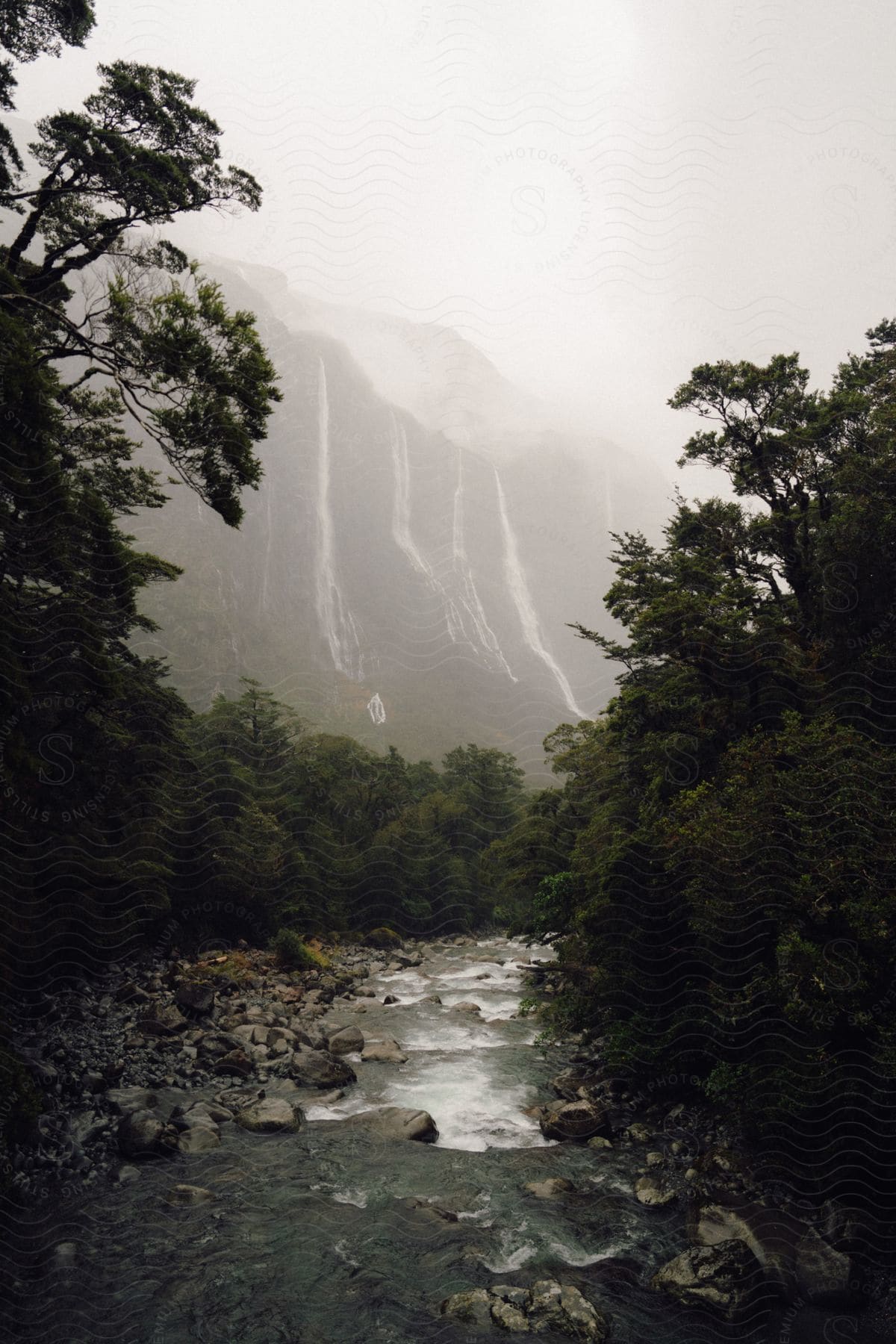 Rocks and trees along the coast as water flows over a mountain in the distance under a cloudy hazy sky