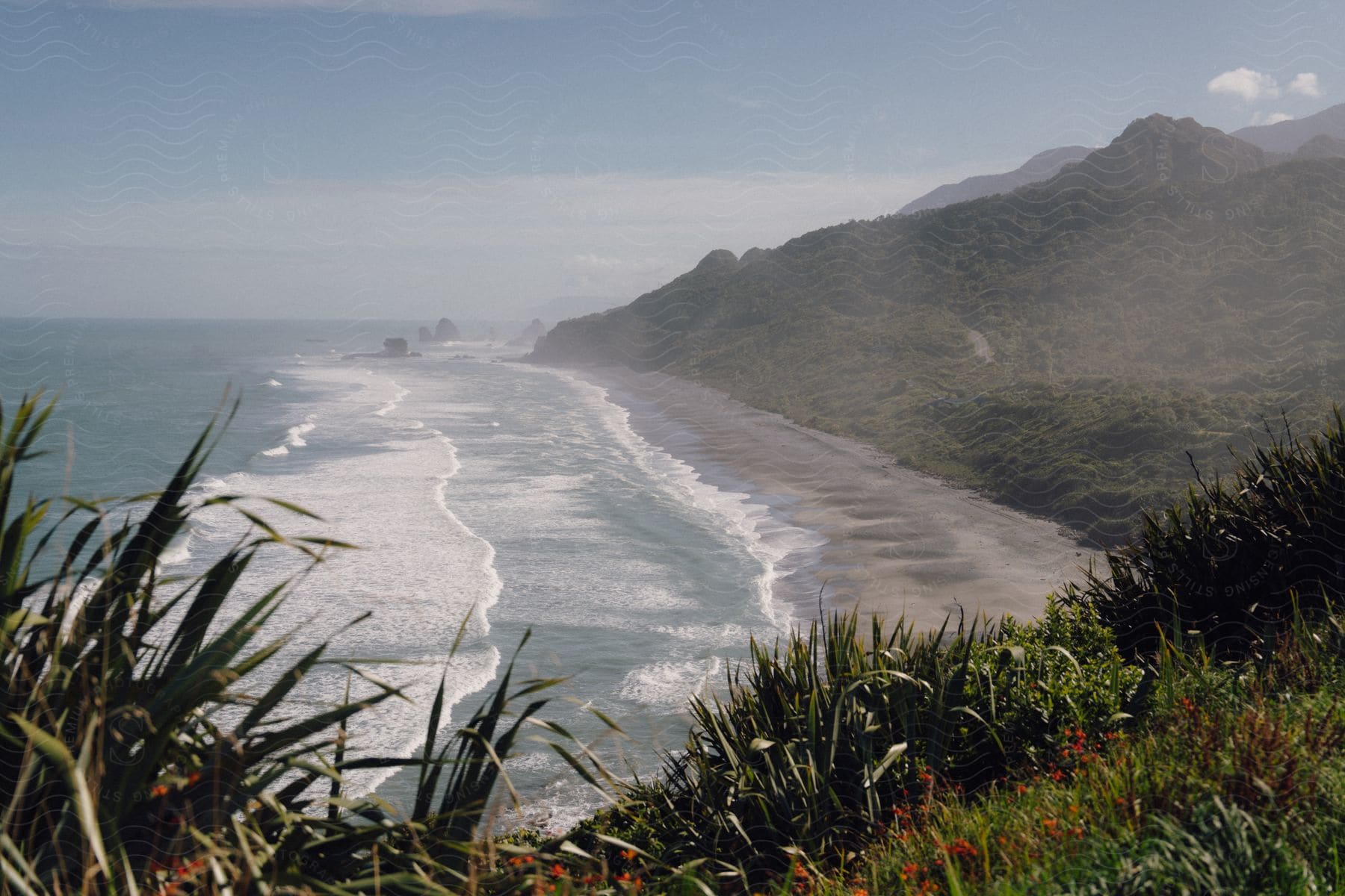 Coastal view featuring a long beach with waves, surrounded by mountains and lush vegetation in the foreground.