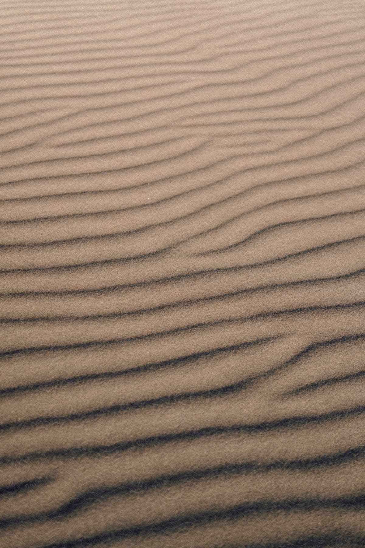 A sandy soil with several dark bands of shadows