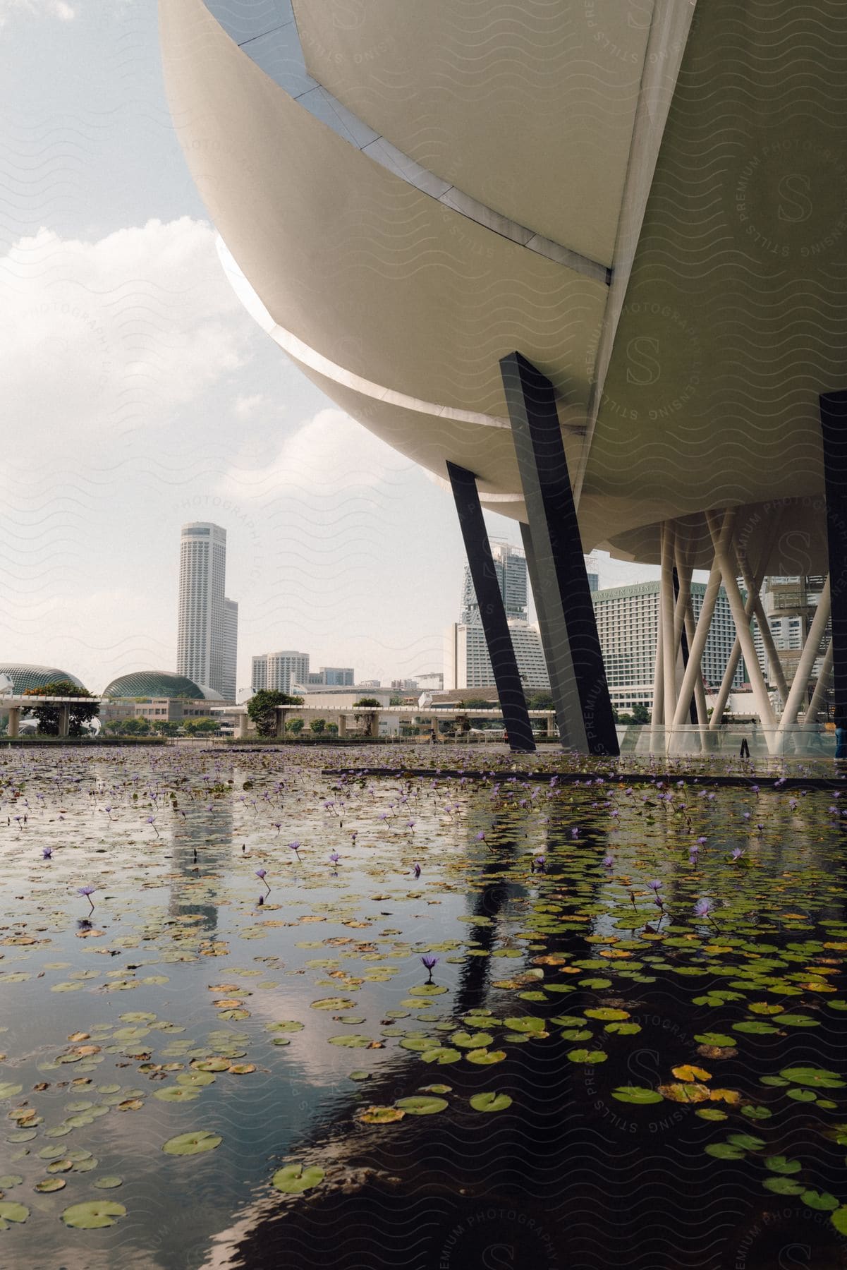 Exterior view of the ArtScience Museum sitting on the waterfront, with the Marina Bay city skyline as a backdrop.