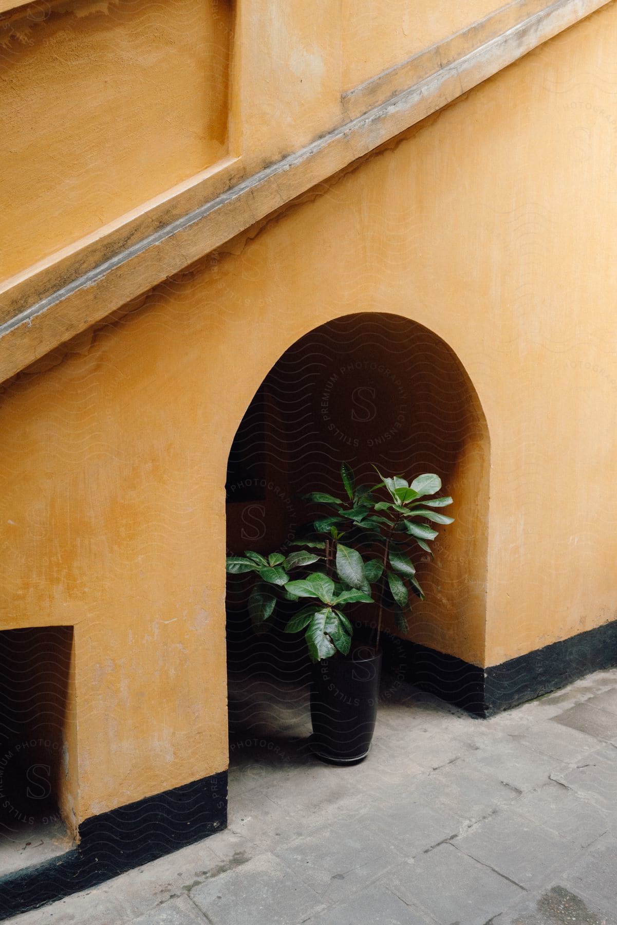 Black ceramic vase with a green plant below an open wall.