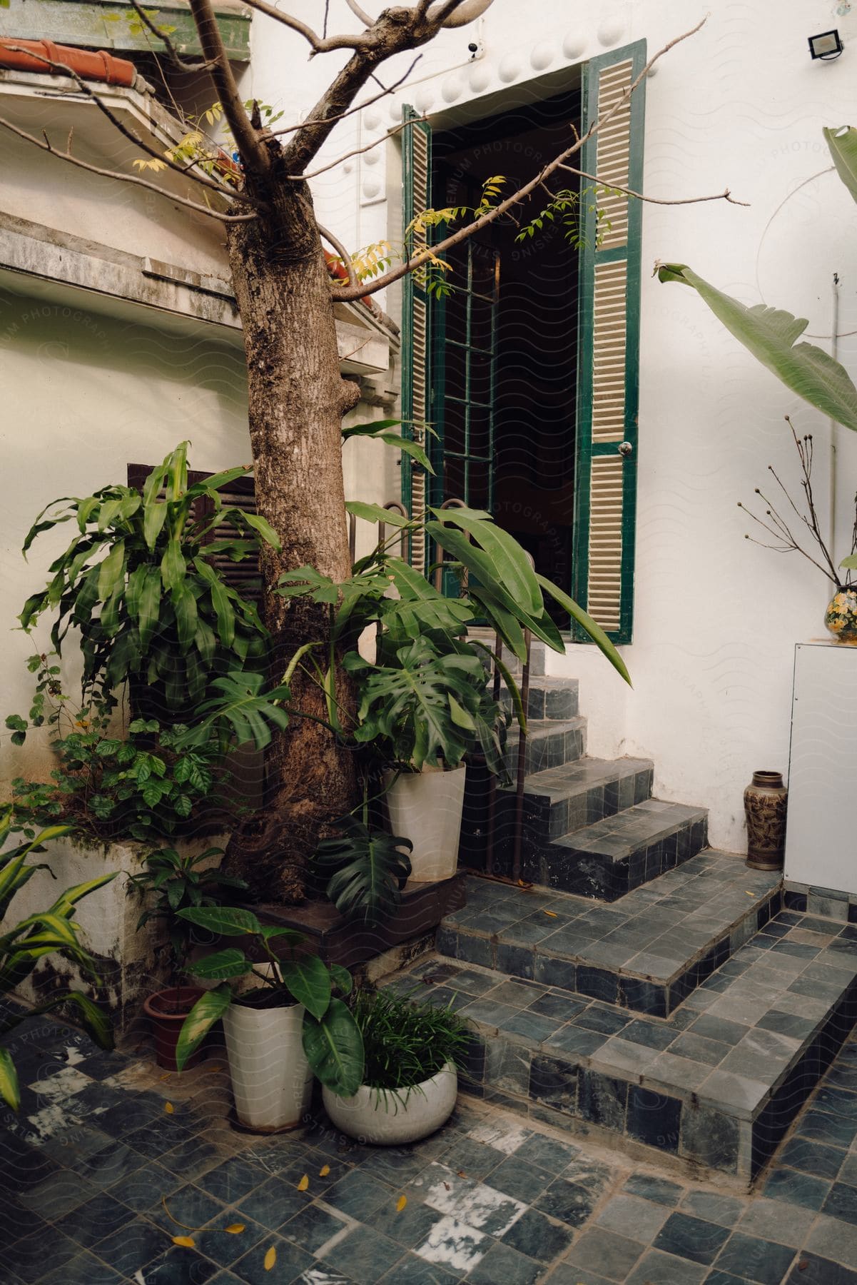 Backyard of a house with a tree and flowering plants around.