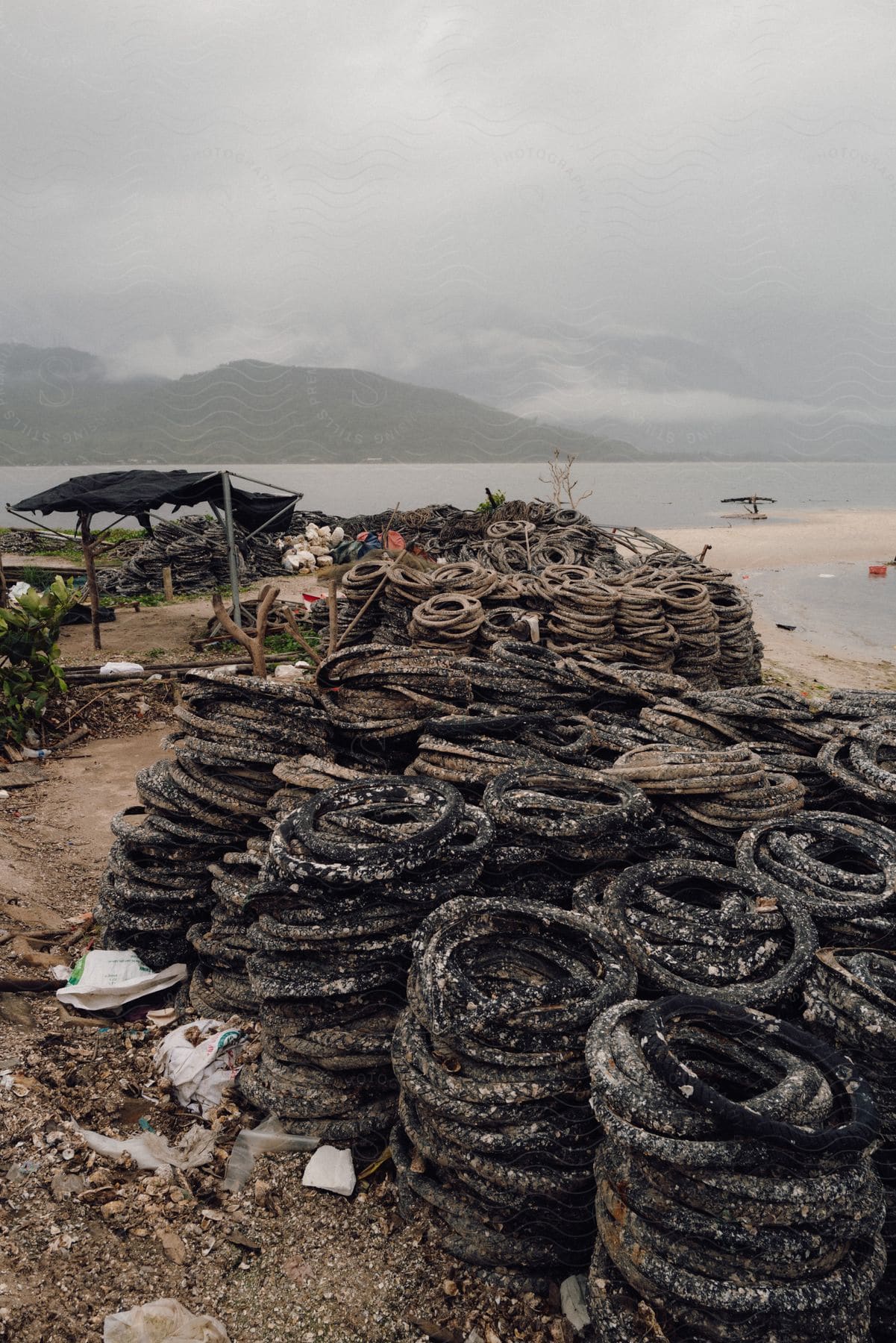 A polluted beach with a large pile of old, discarded tires covered in barnacles and other marine organisms.