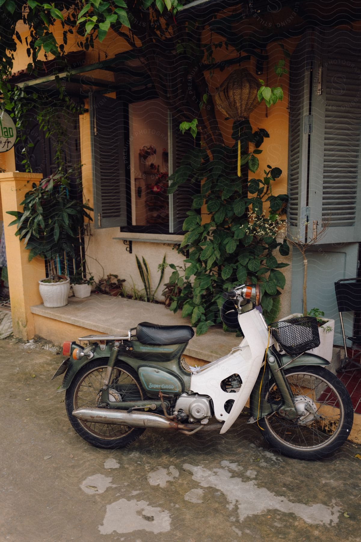 A white scooter is parked beside a building corridor with a series of flower plants next to the building.