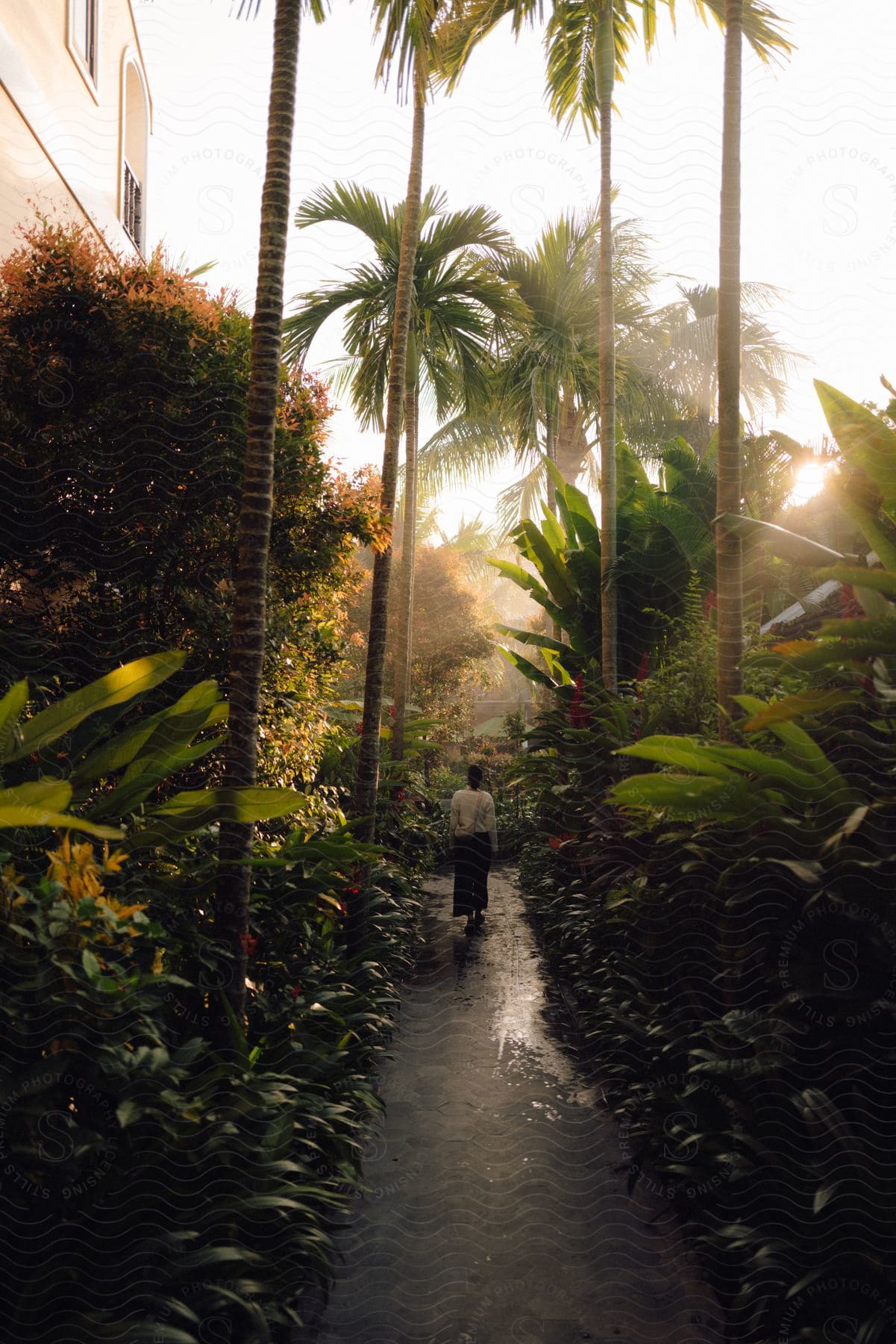 Woman with her back walking on a narrow sidewalk with tropical vegetation around her