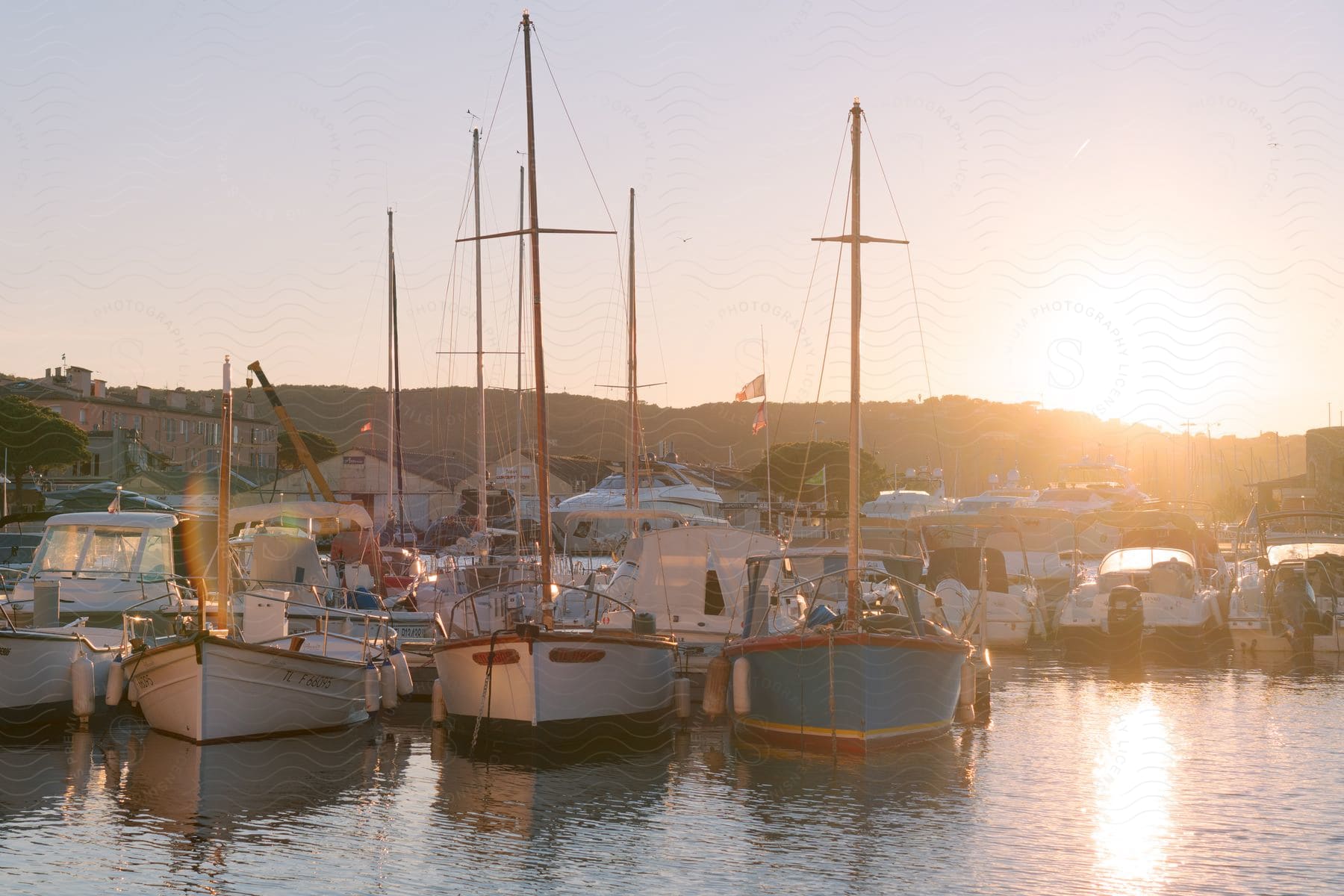 A serene marina full of boats, illuminated by the golden hues of a setting sun.