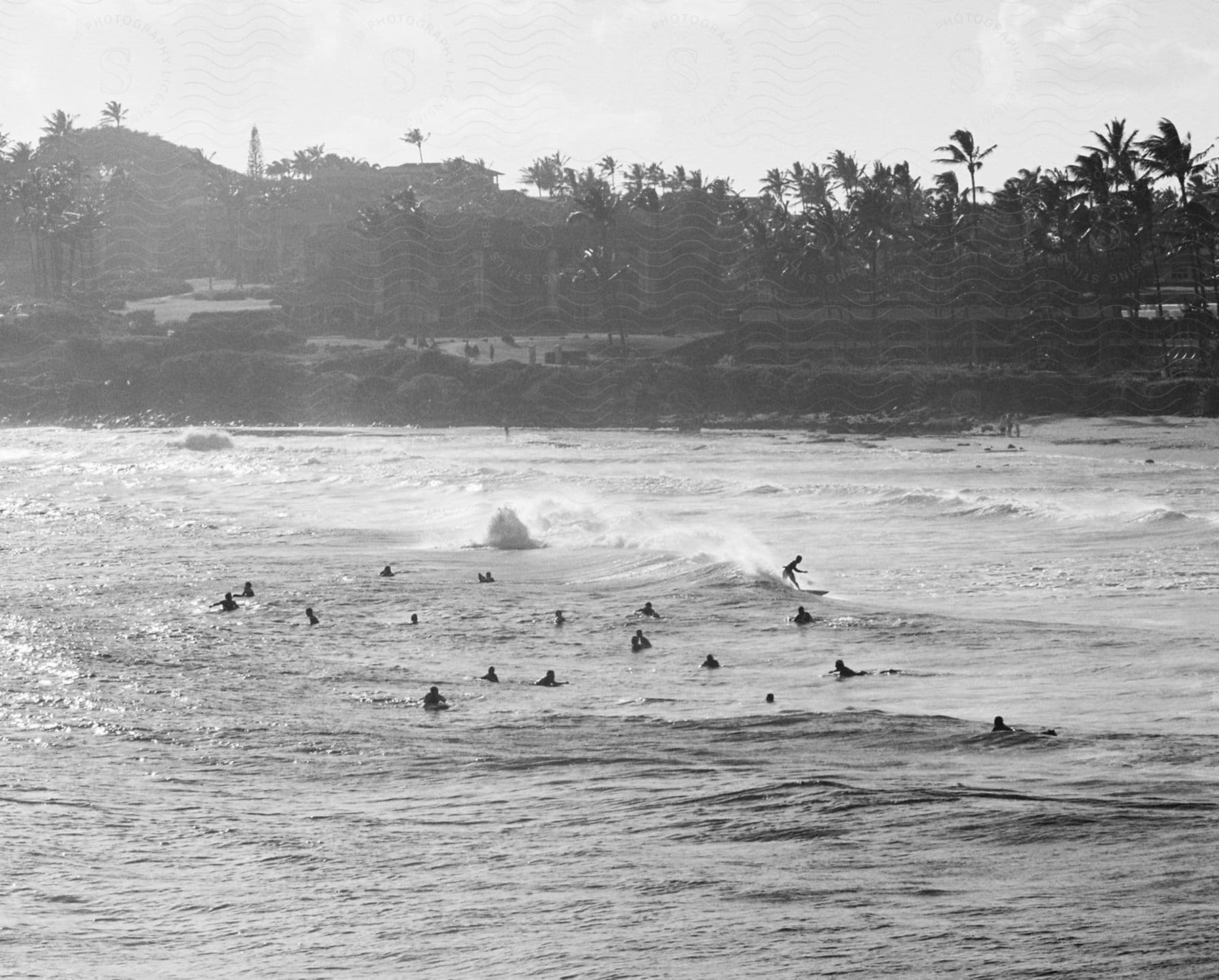 A group of surfers trying to catch waves.