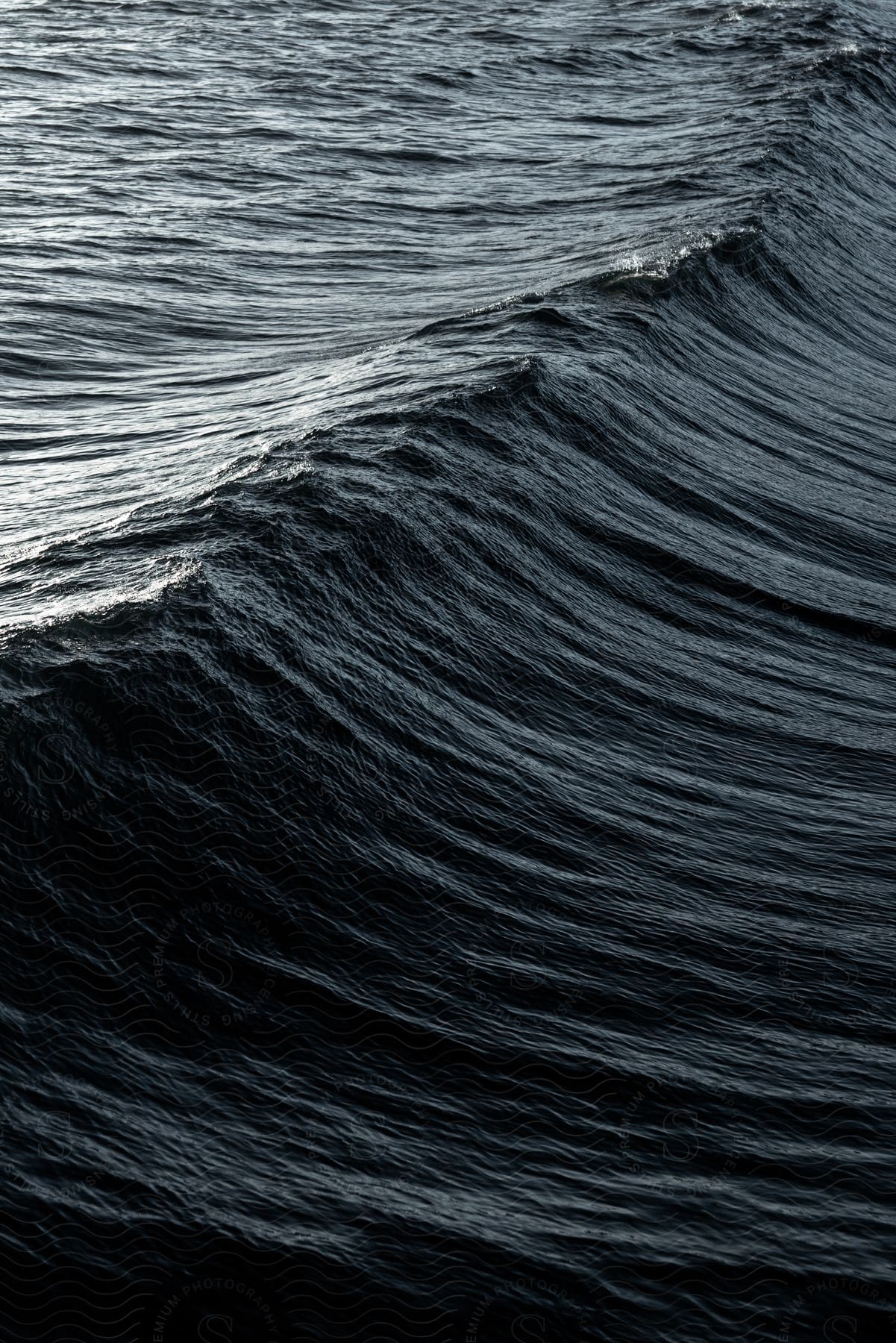 A dramatic wave in the ocean, captured in striking detail.