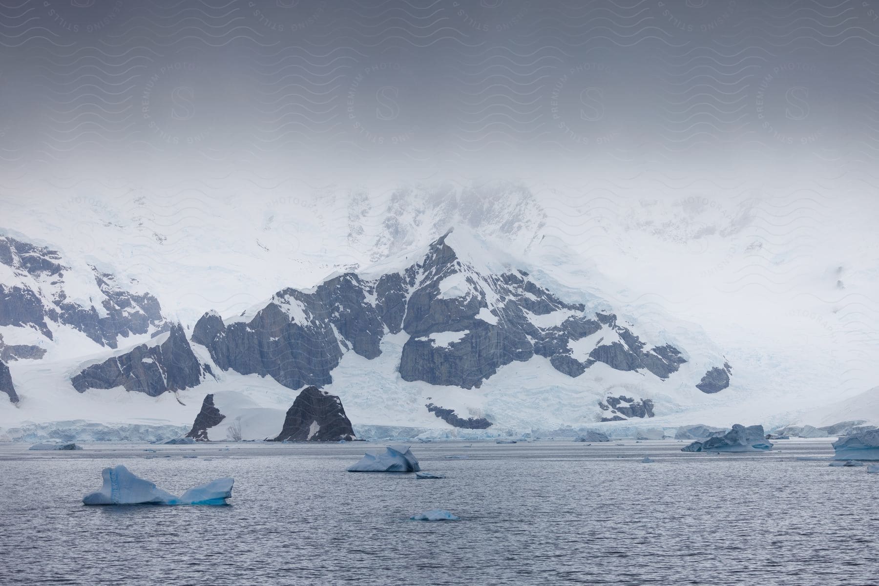 Icebergs are scattered in the ocean with snow-covered mountains in the background.