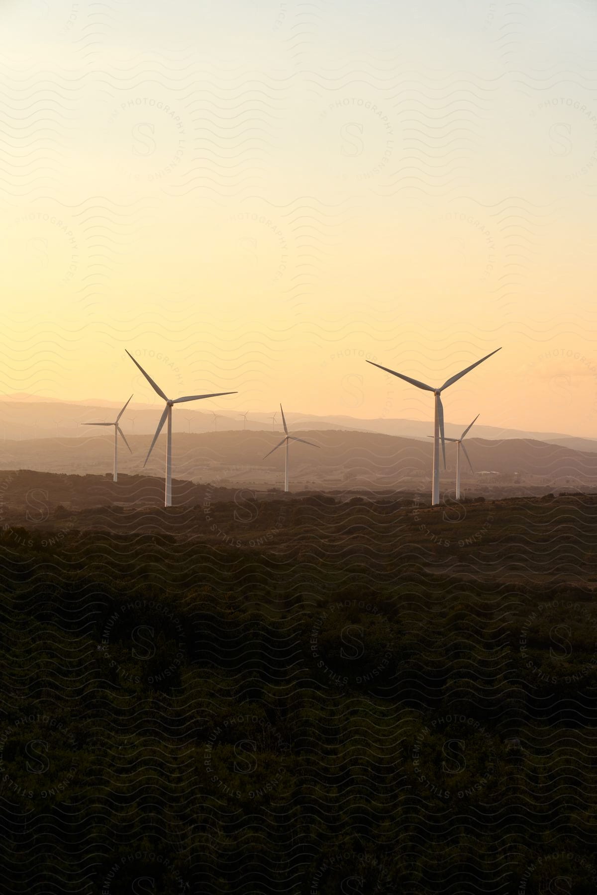 A group of wind turbines stand majestically on a grassy hill, their white blades slowly turning in the breeze.