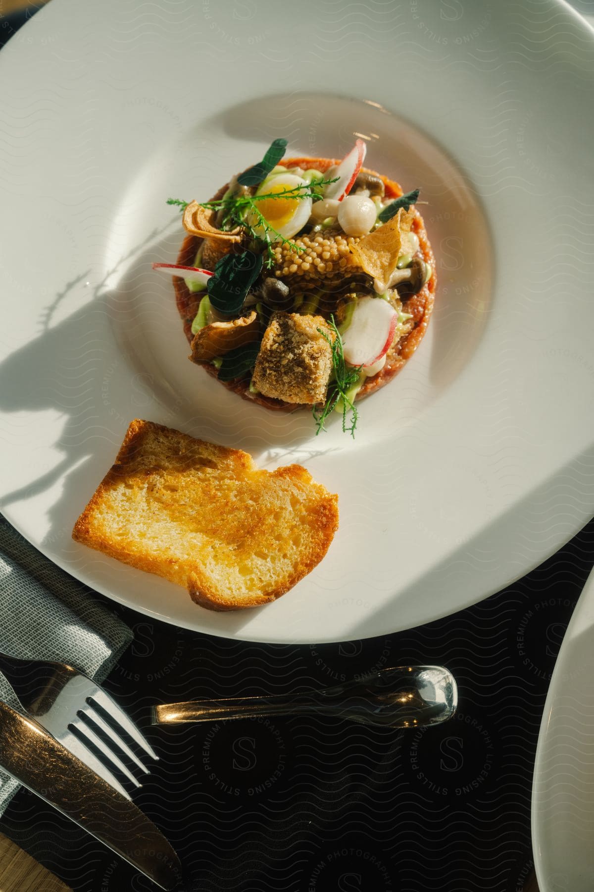 Gourmet dish with a presentation accompanied by a slice of toasted bread with vegetables and herbs.