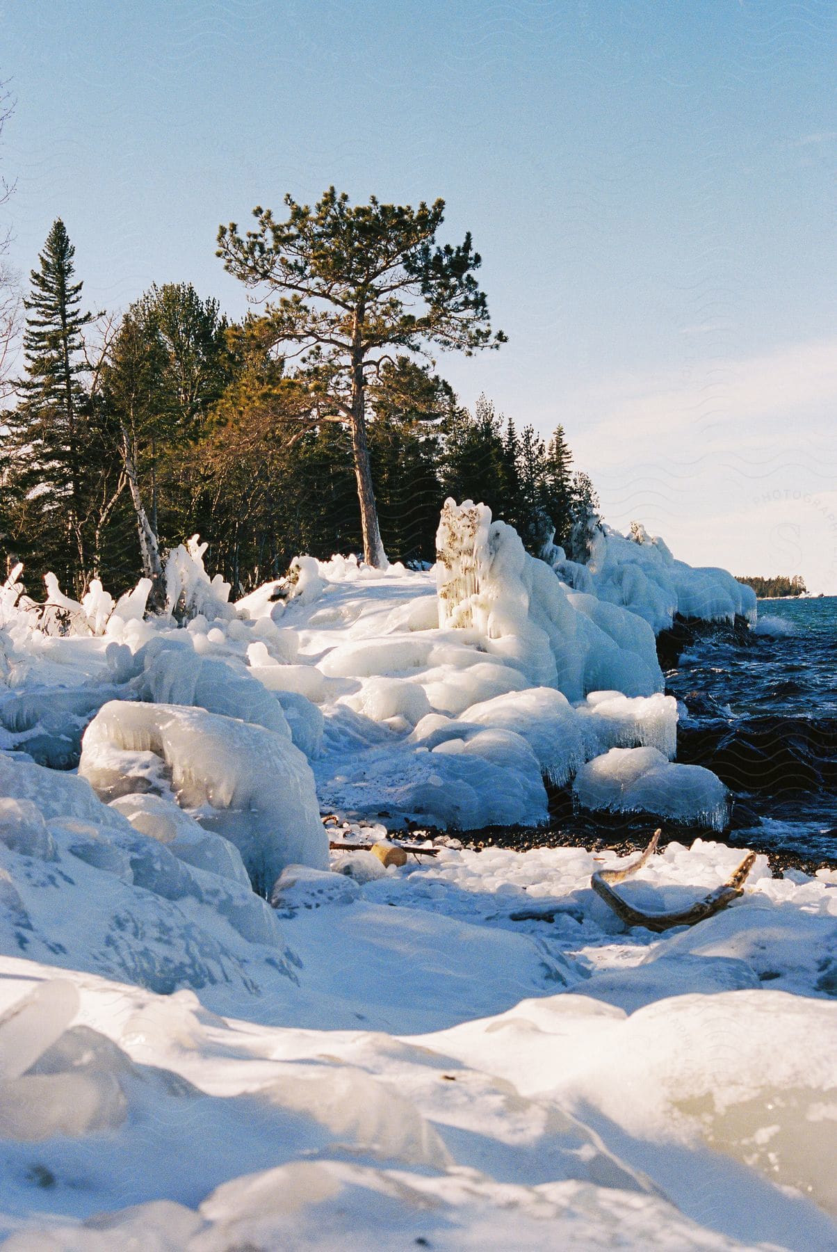 A view of a lot of ice near some trees