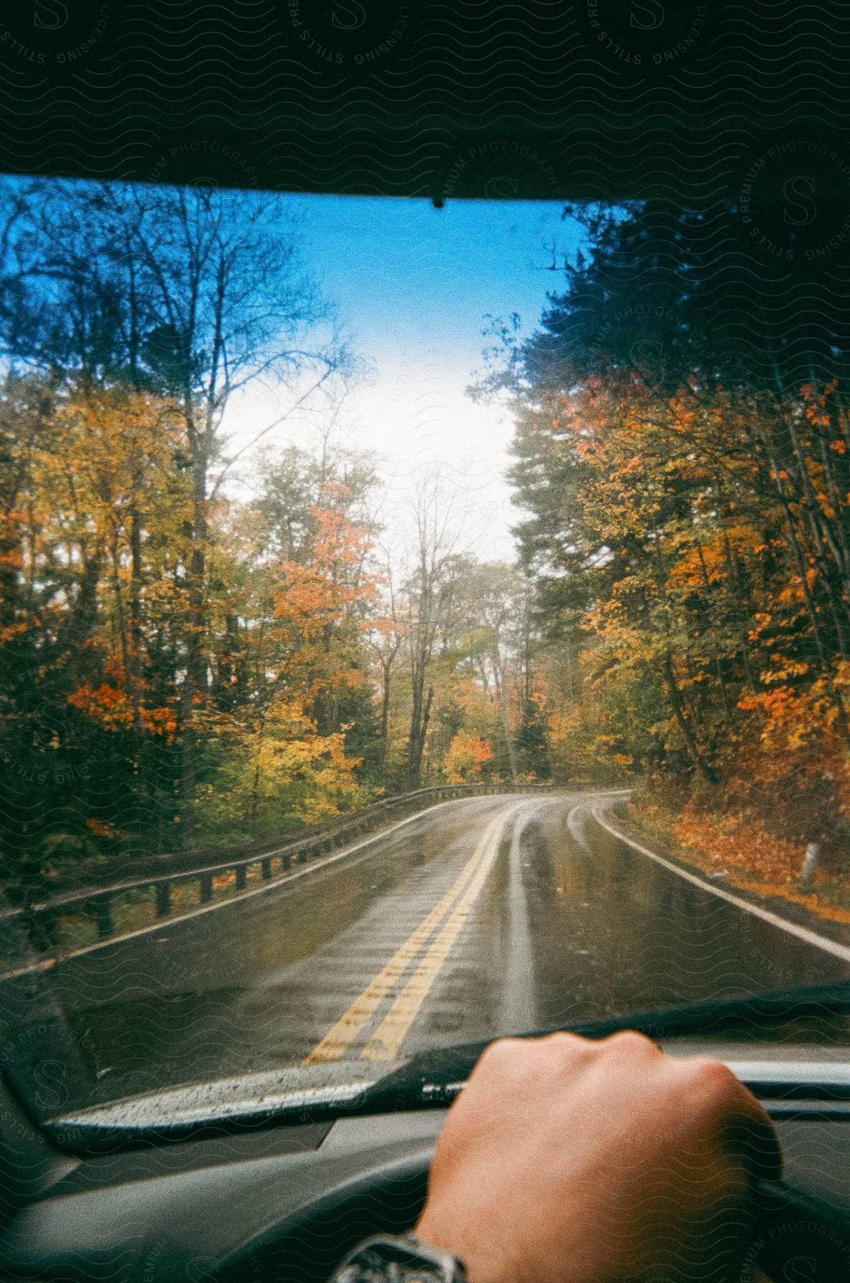 View from inside an automobile as the driver holds the steering wheel on a forested road with trees in fall colors