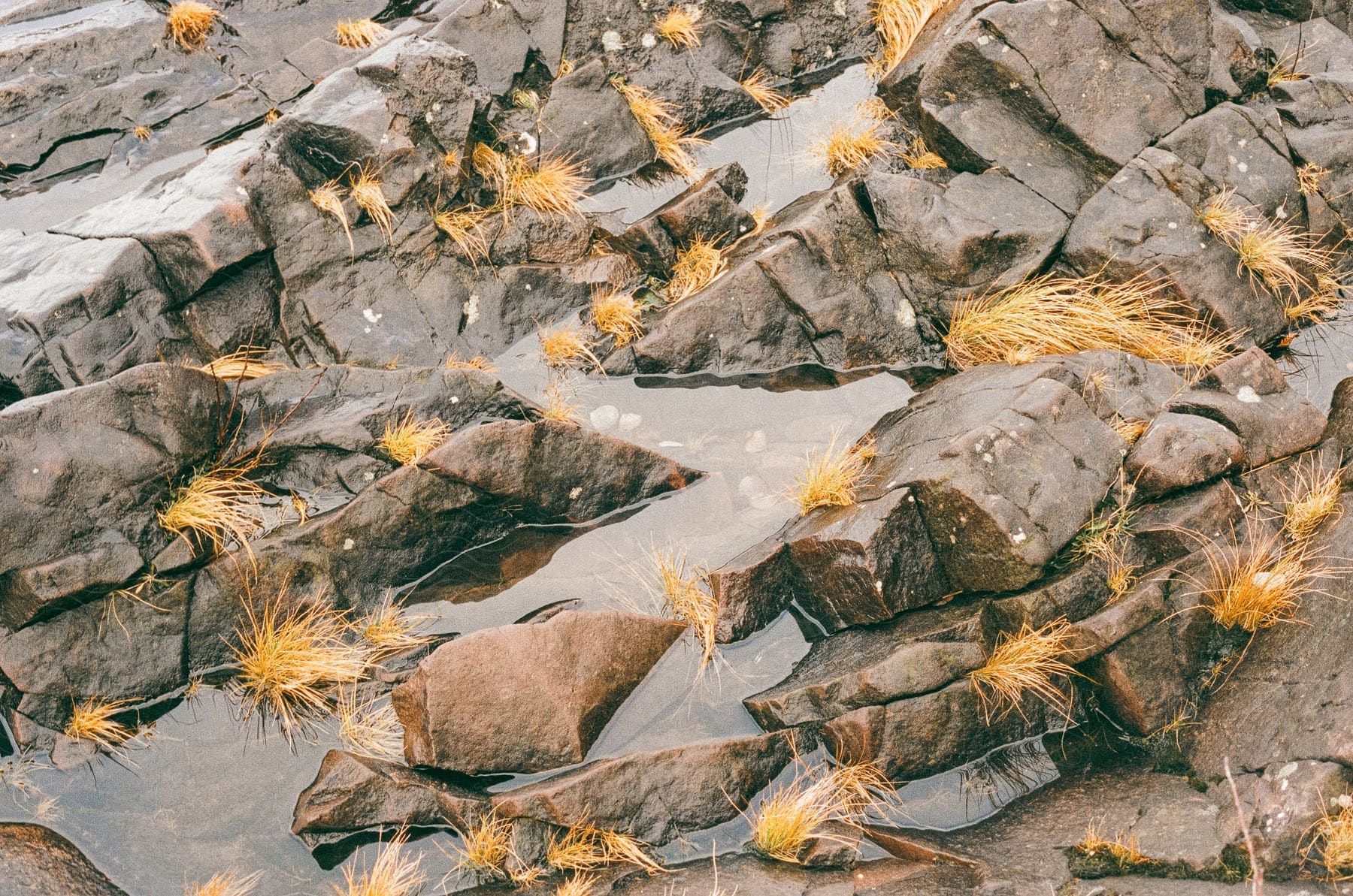 Rock formations with tufts of dry grass and puddles of water.