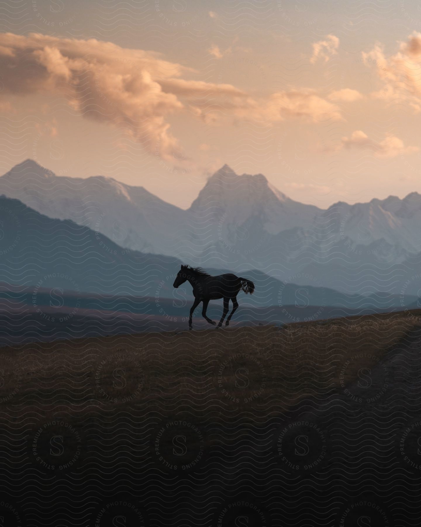 A horse runs in a valley at dusk with snow-covered mountains in the background.