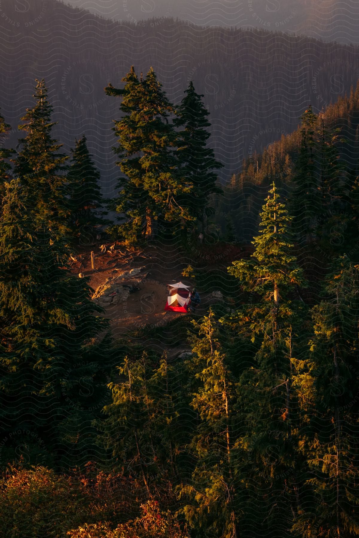 Aerial of a tent set up in the middle of a forest