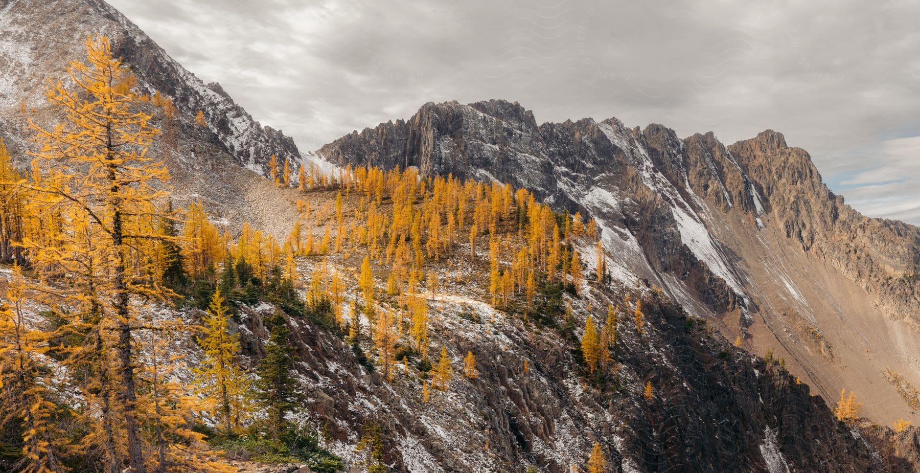 A mountain range with some trees on it