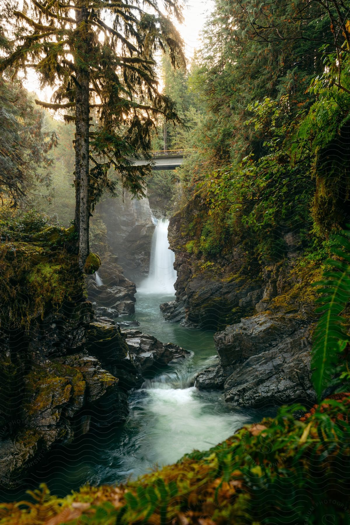 A Waterfall Flows Into A Narrow Stream In A Rainforest Setting