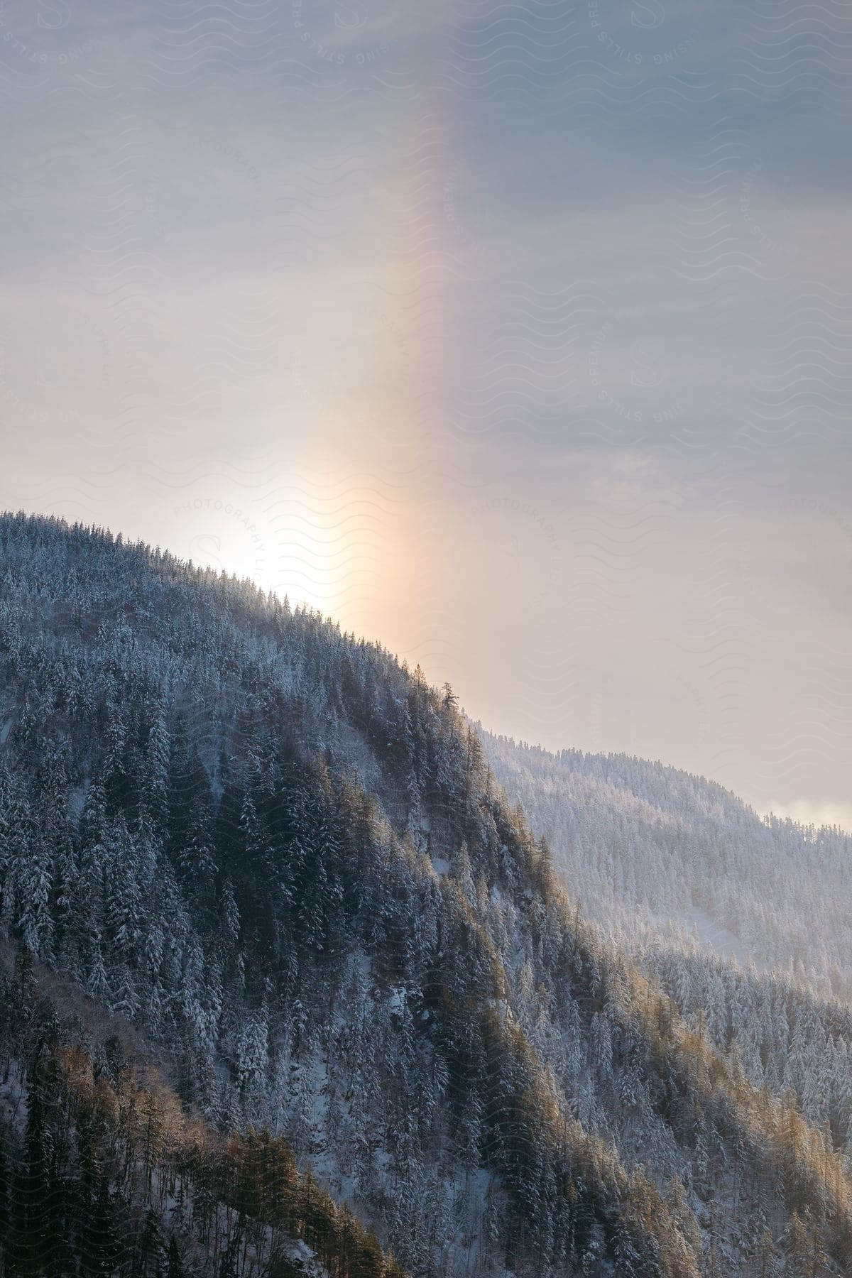 Rainbow glows in sky above conifer covered mountains during winter.