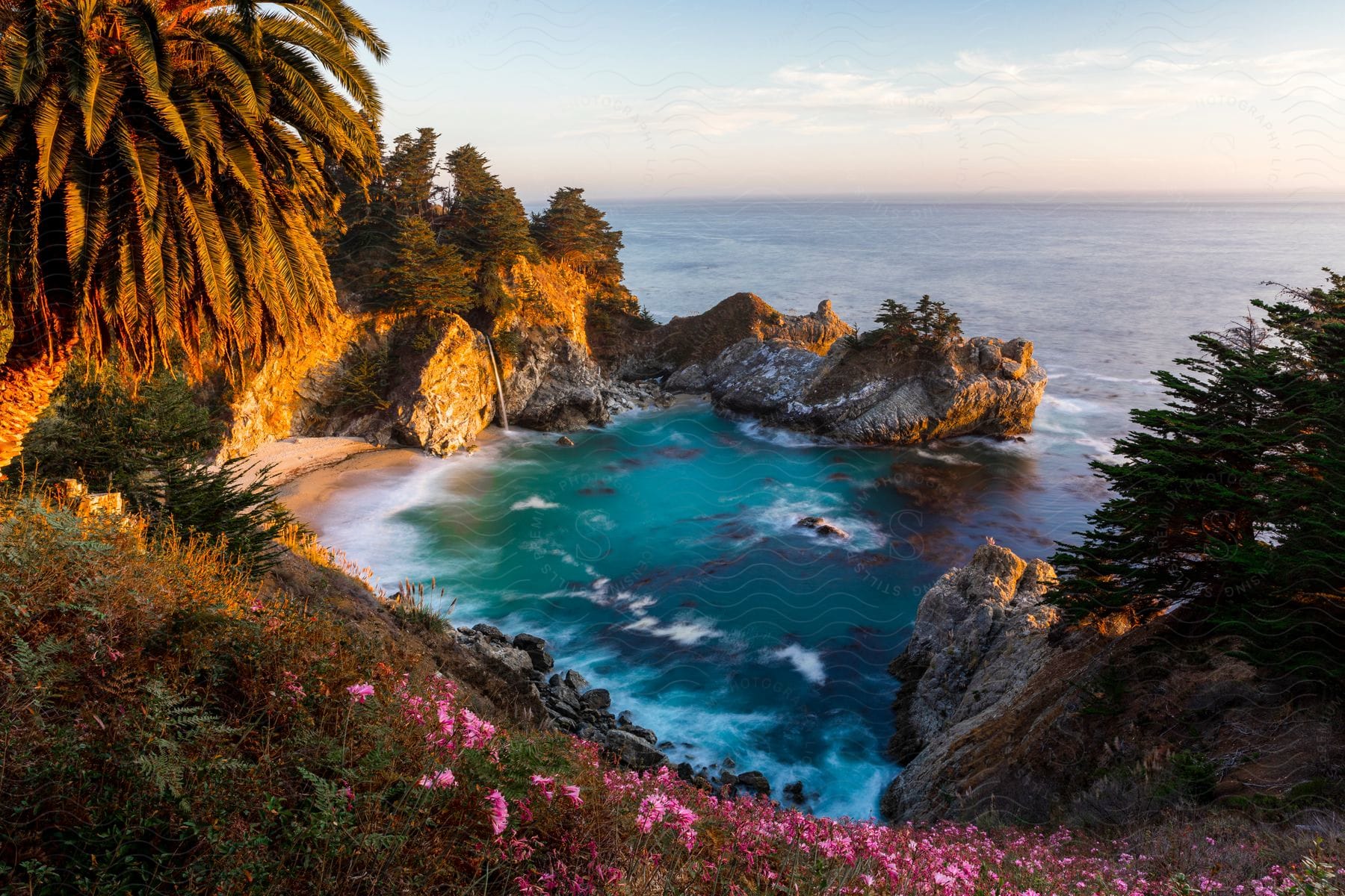 Pink flowers, grass, and trees surrounded by water on a sunny day.