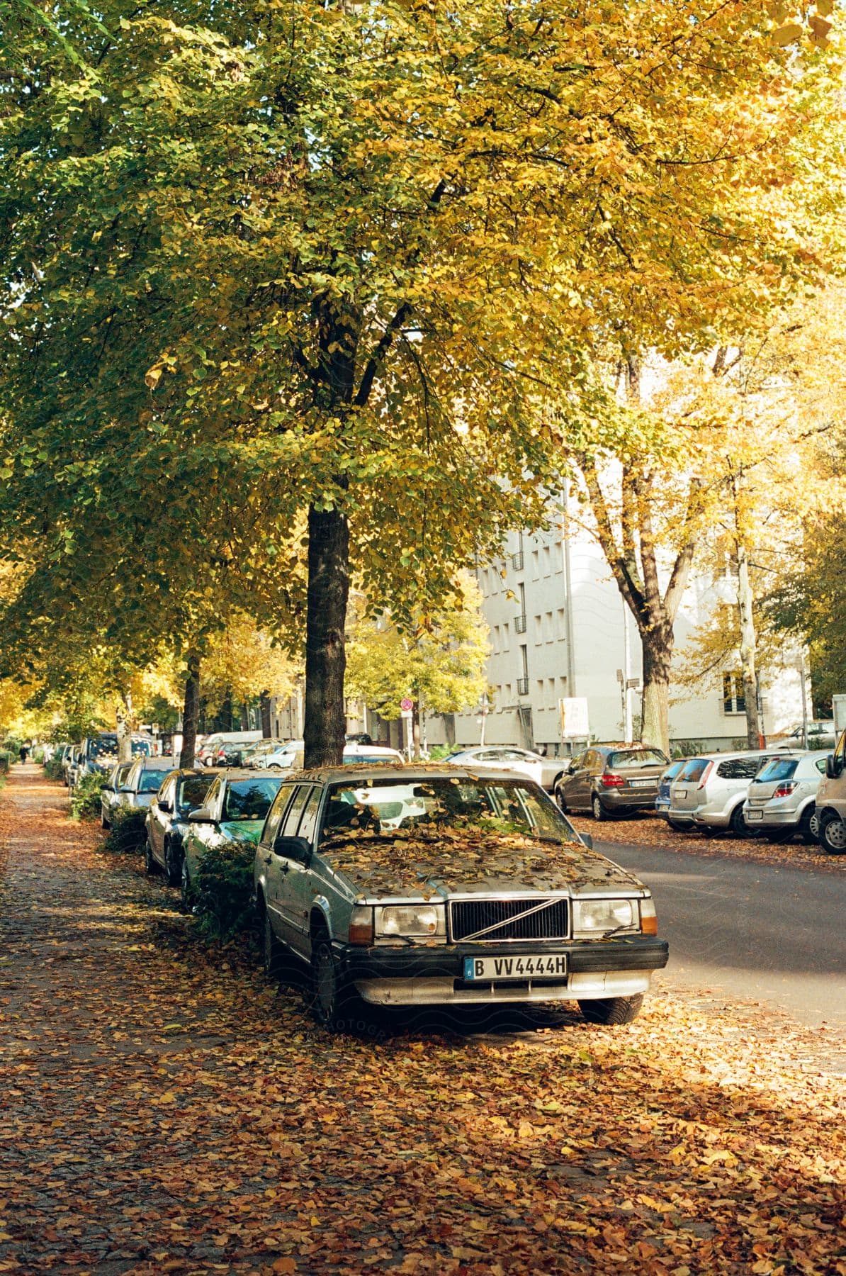 A serene autumn scene on a city street, where an old car is parked on the sidewalk, surrounded by trees with yellow and gold leaves.