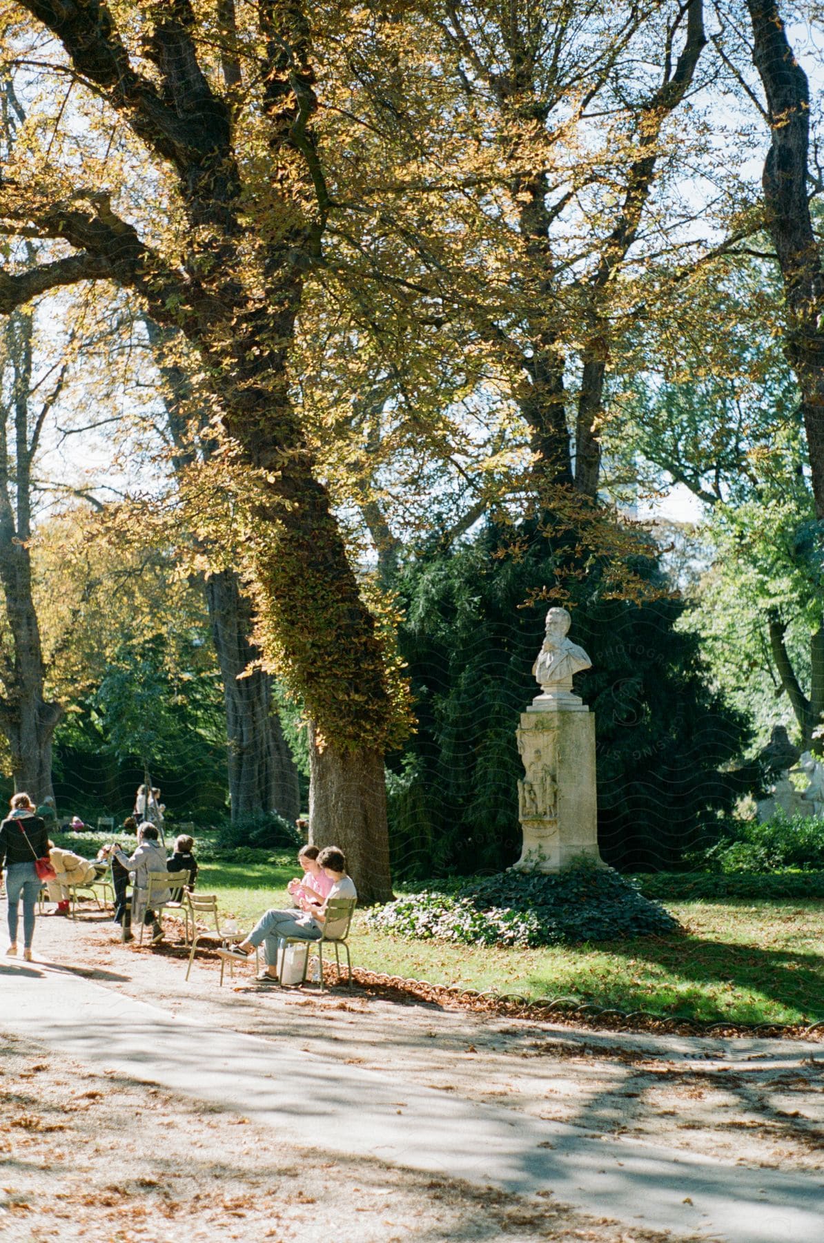 People relaxing in a park with tall trees and a statue on a sunny day.