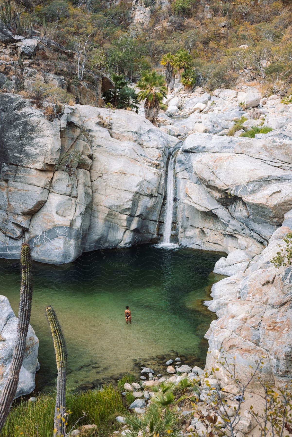 A woman in a bikini stands in the water near a cascading waterfall, which tumbles into a pool surrounded by smooth, moss-covered rocks.