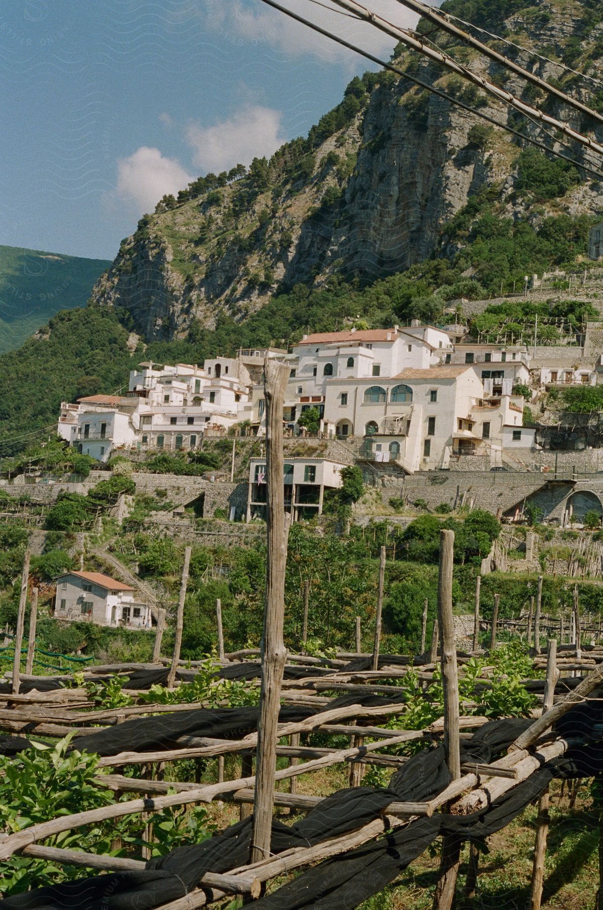 Stock photo of cables cross over vine field near housing on the slope at the base of cliff.