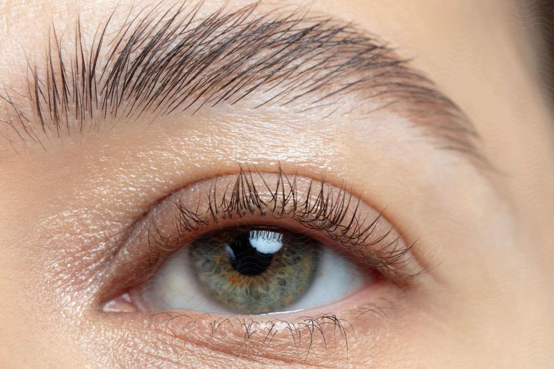 A human eye with green iris and light skin with some reflections in the texture and there is light reflecting in the pupil