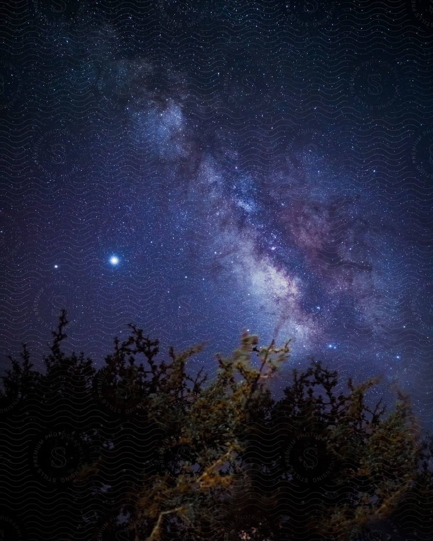 Upward view of a sky with galaxy and stars at night