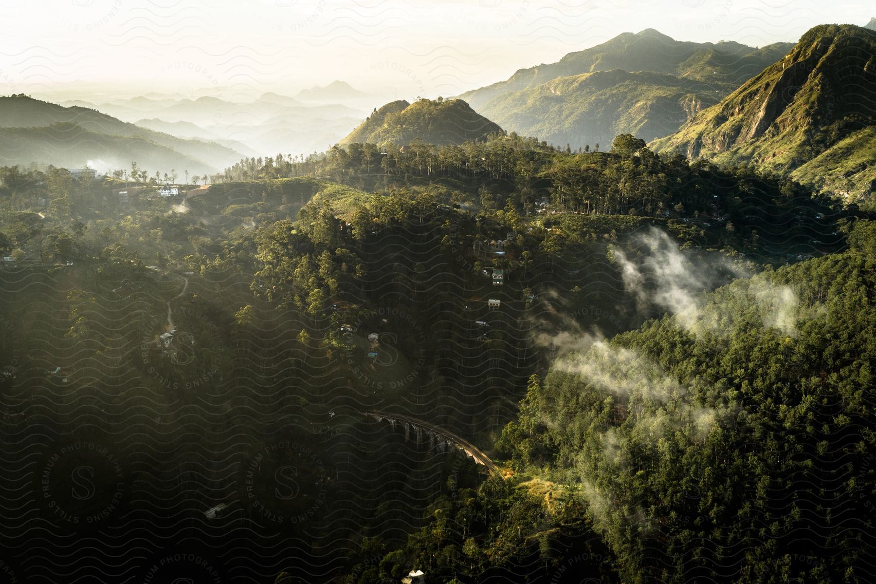 Rural houses are built into the sides of forested mountains on a sunny day.