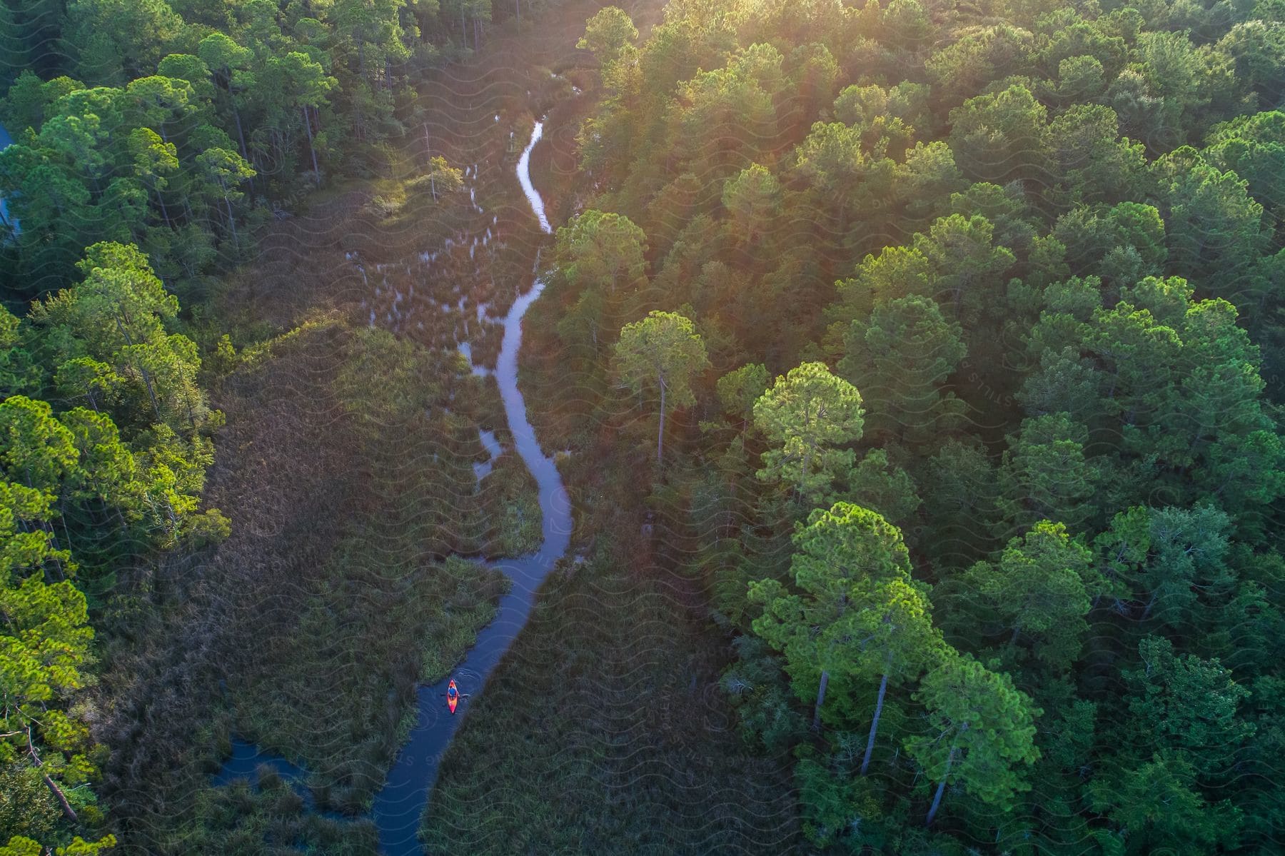 Aerial view of a boat on a river in the middle of the forest