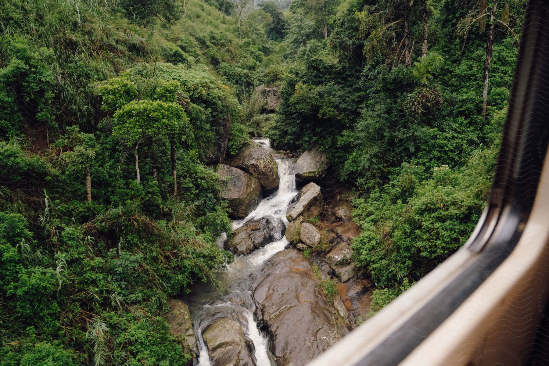 An image of a rocky stream in the forest