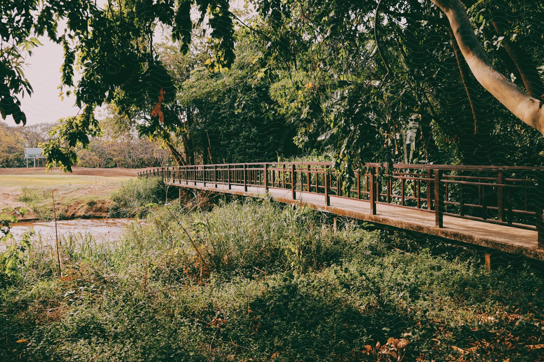 A wooden bridge extends across a small stream surrounded by lush vegetation and trees