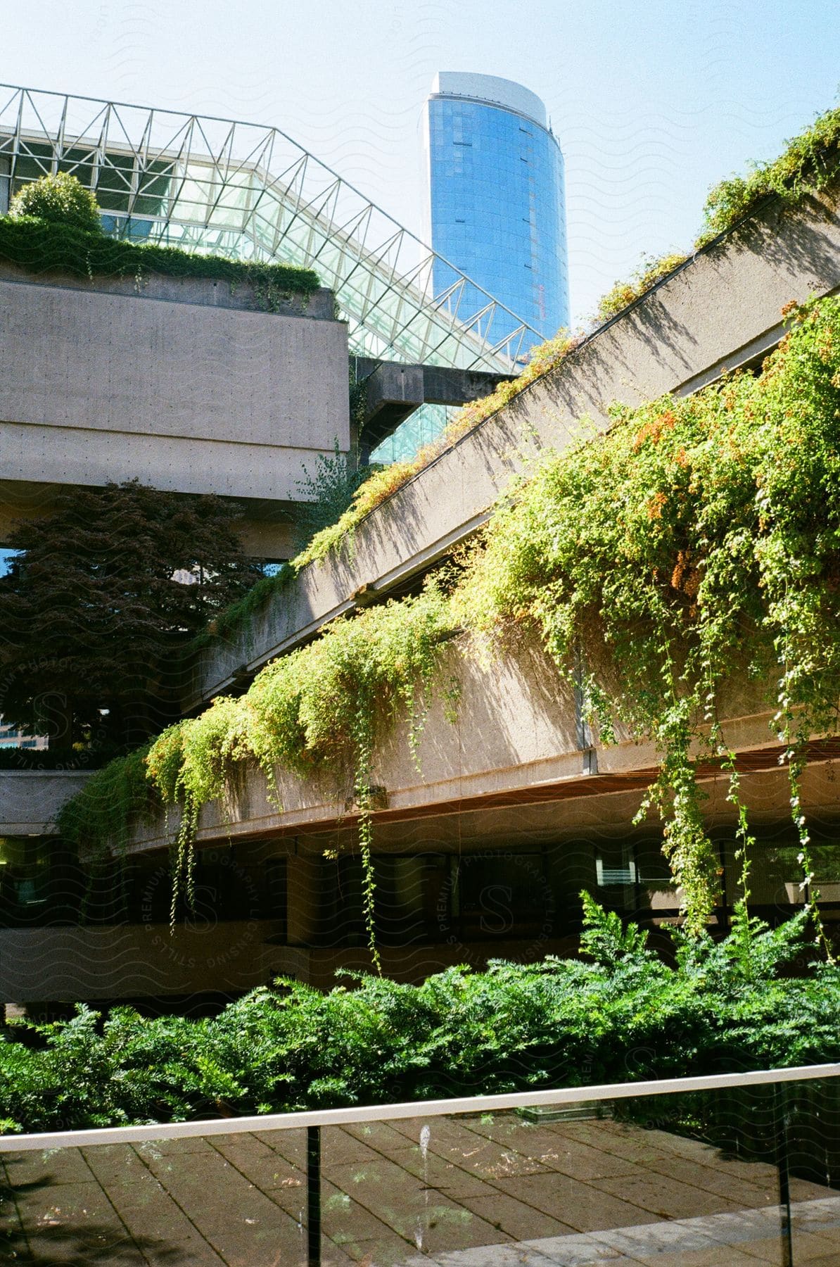 External architecture of a building with green plants and a skyscraper in the background