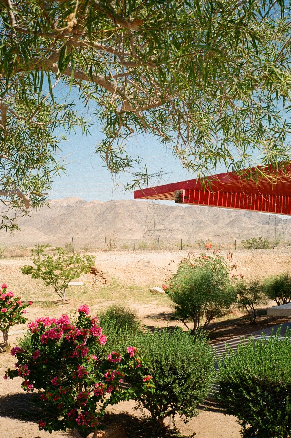 A desert backyard next to power lines and mountains.