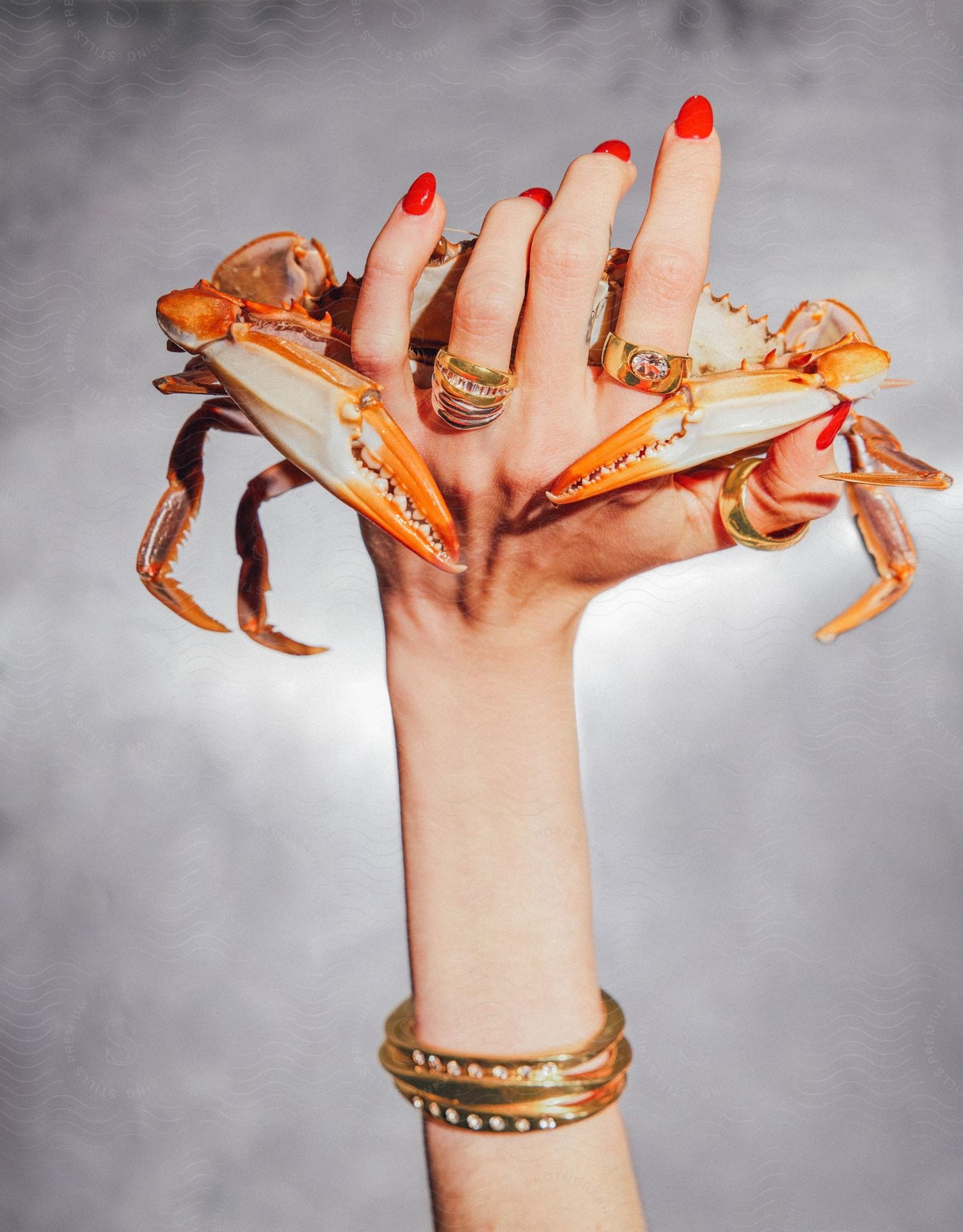A woman's hand with rings and bracelets holds a cooked crab.