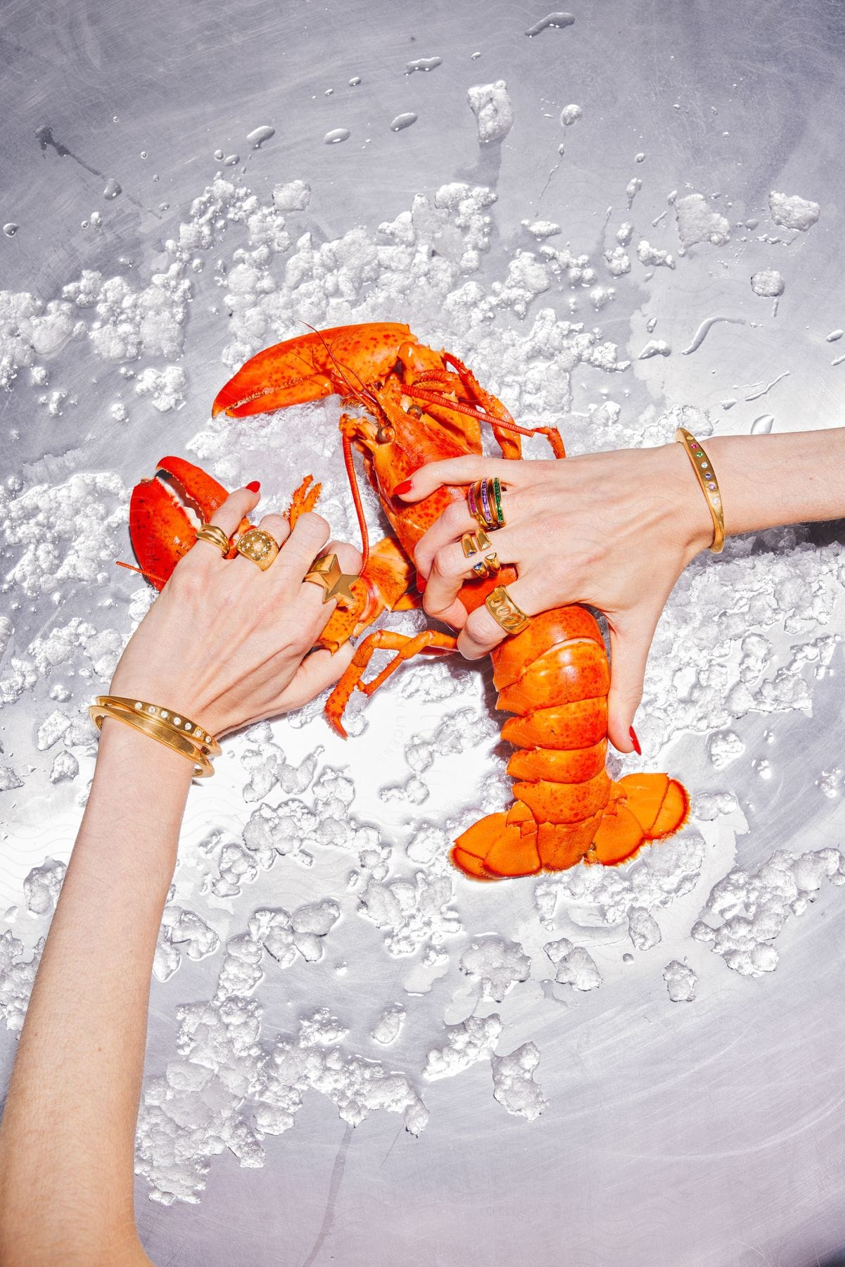 Hands with gold bracelets and rings holding a lobster