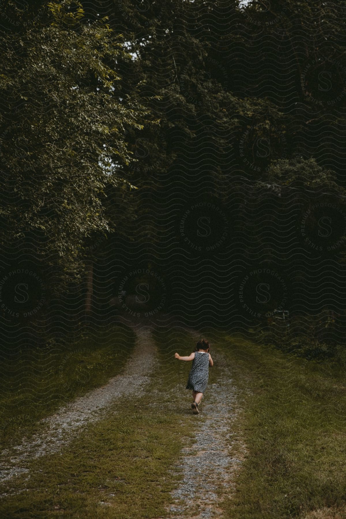 Little girl walking on a path on a trail with trees around