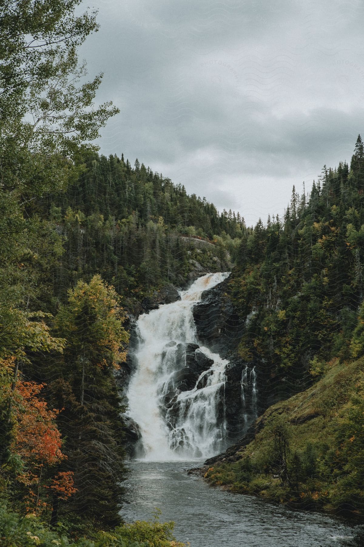 Landscape of a waterfall in the middle of a forest