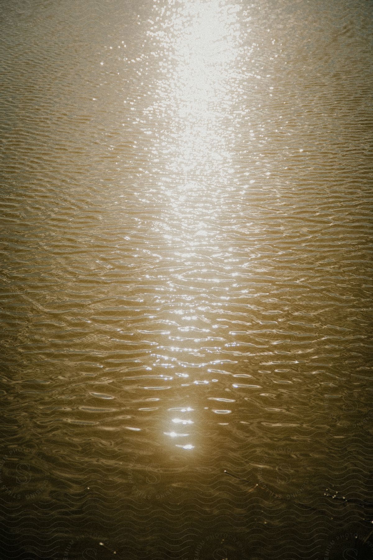 The sunlight reflects off the rippled surface of the water, creating a shimmering glow.