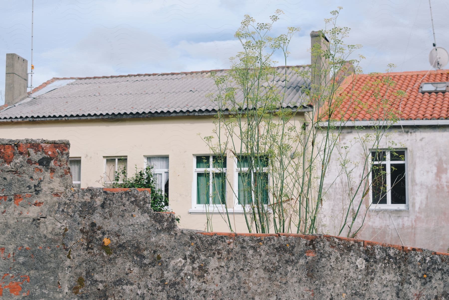 A weathered wall with overgrown green plants and houses with a cloudy sky in the background